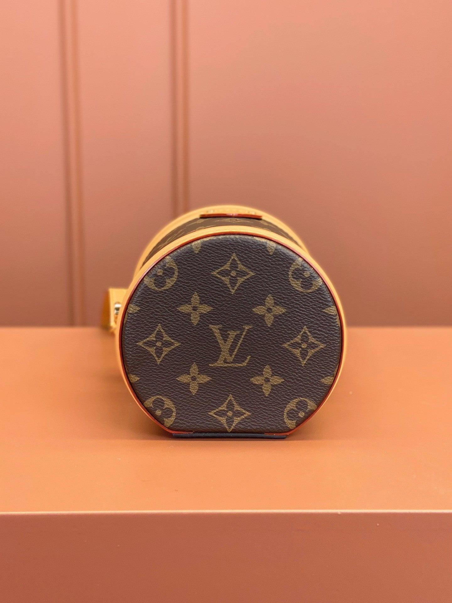 Louis Vuitton women's bags 109
