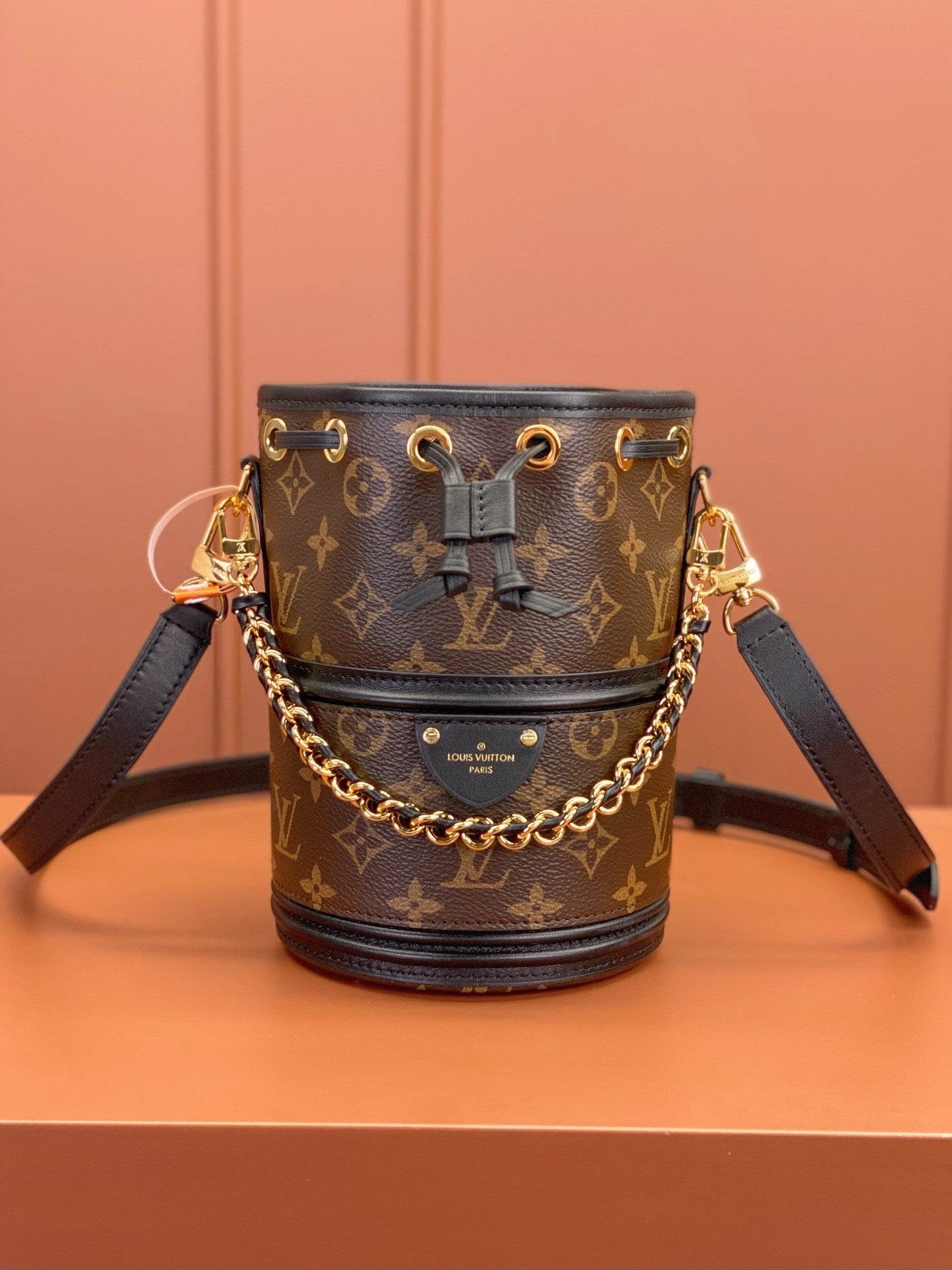Louis Vuitton women's bags 110