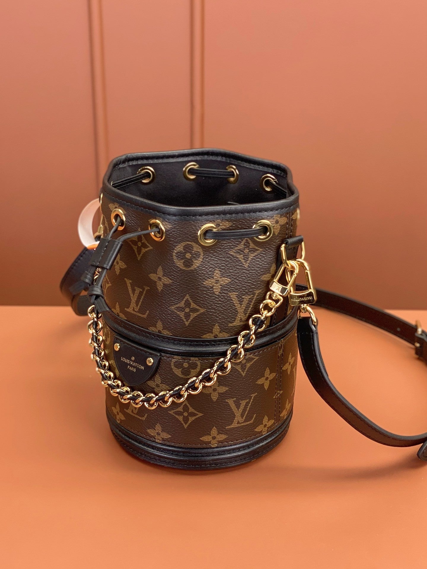 Louis Vuitton women's bags 110