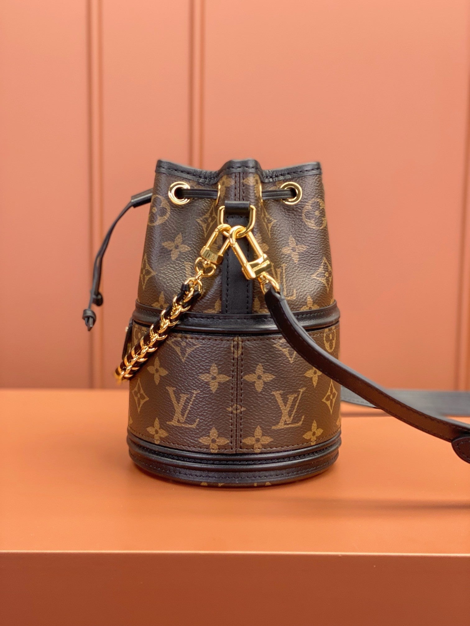 Louis Vuitton women's bags 110