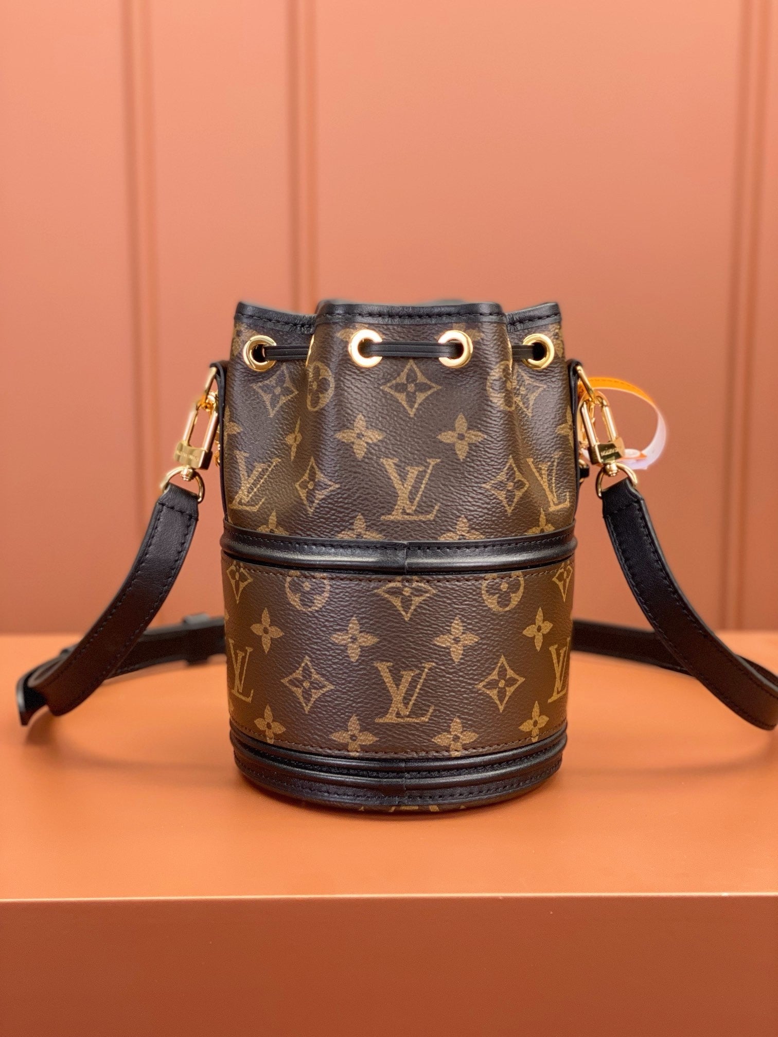 Louis Vuitton women's bags 110