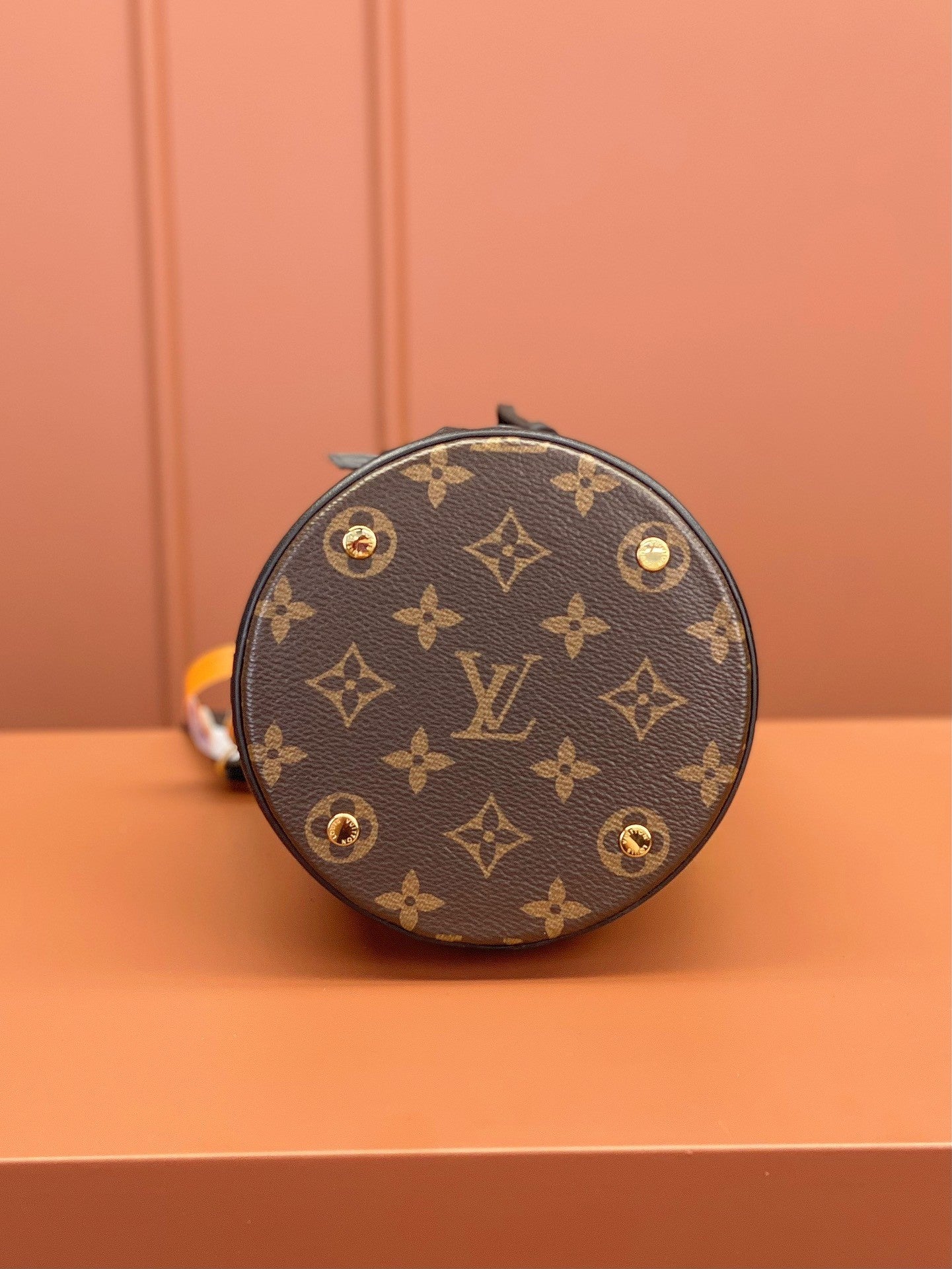 Louis Vuitton women's bags 110