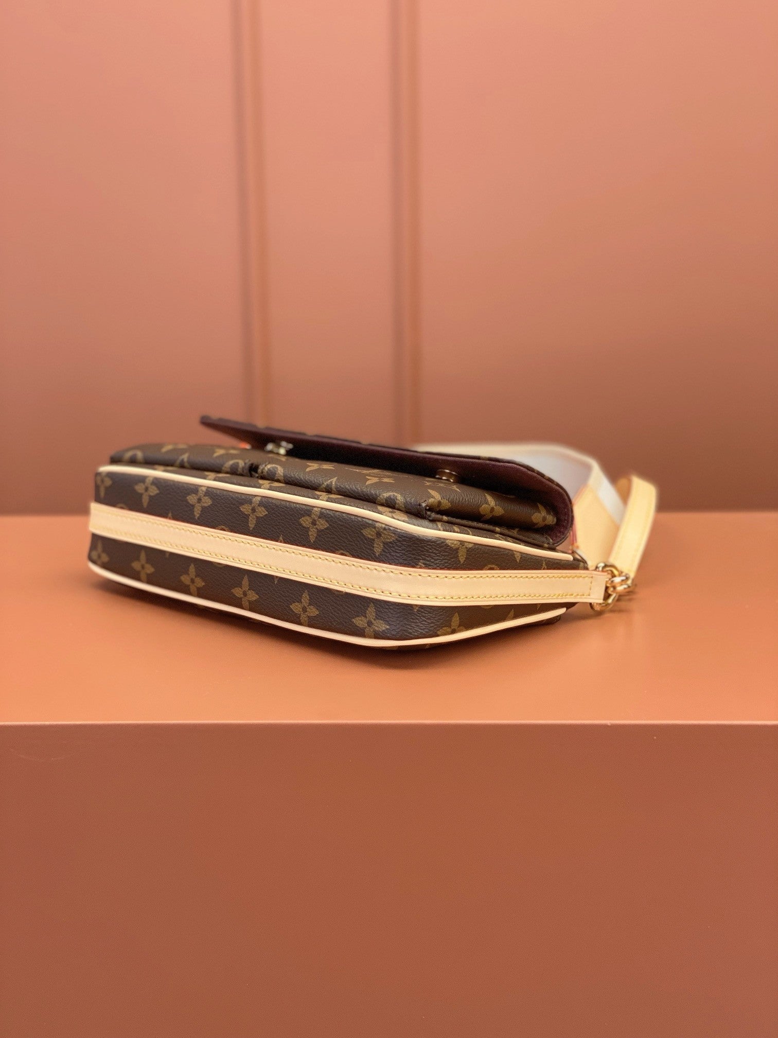 Louis Vuitton women's bags 111