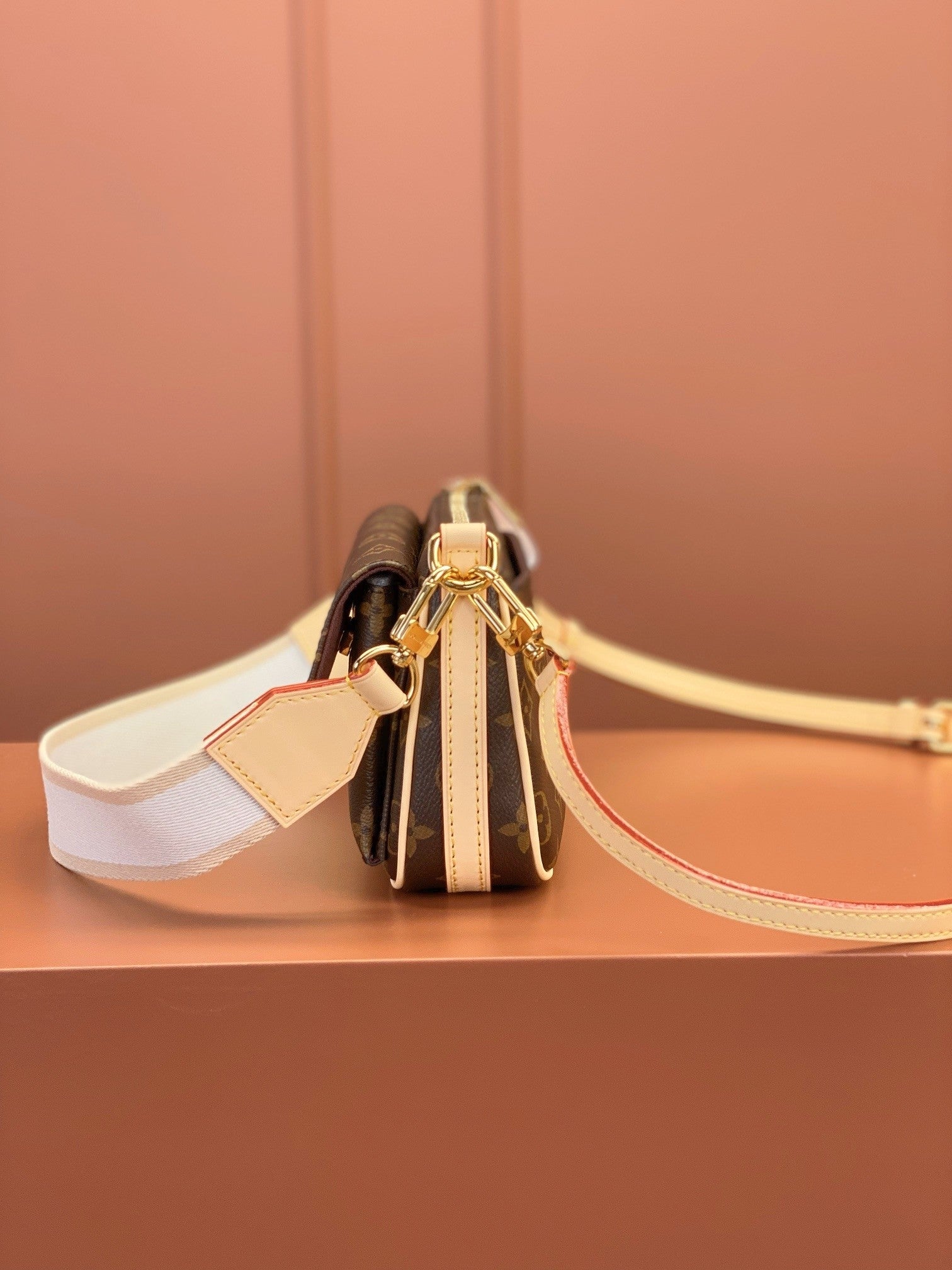 Louis Vuitton women's bags 111