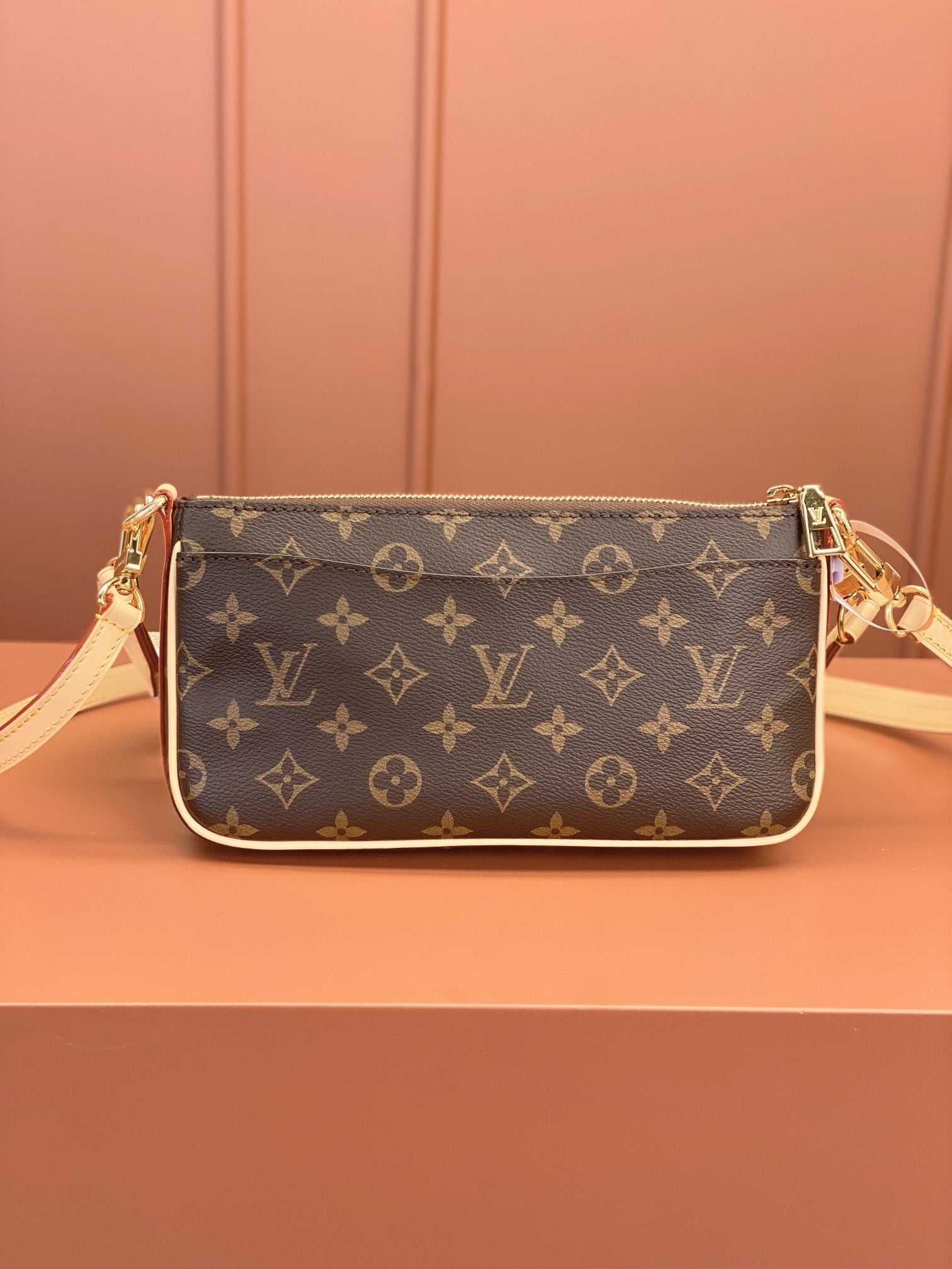Louis Vuitton women's bags 111