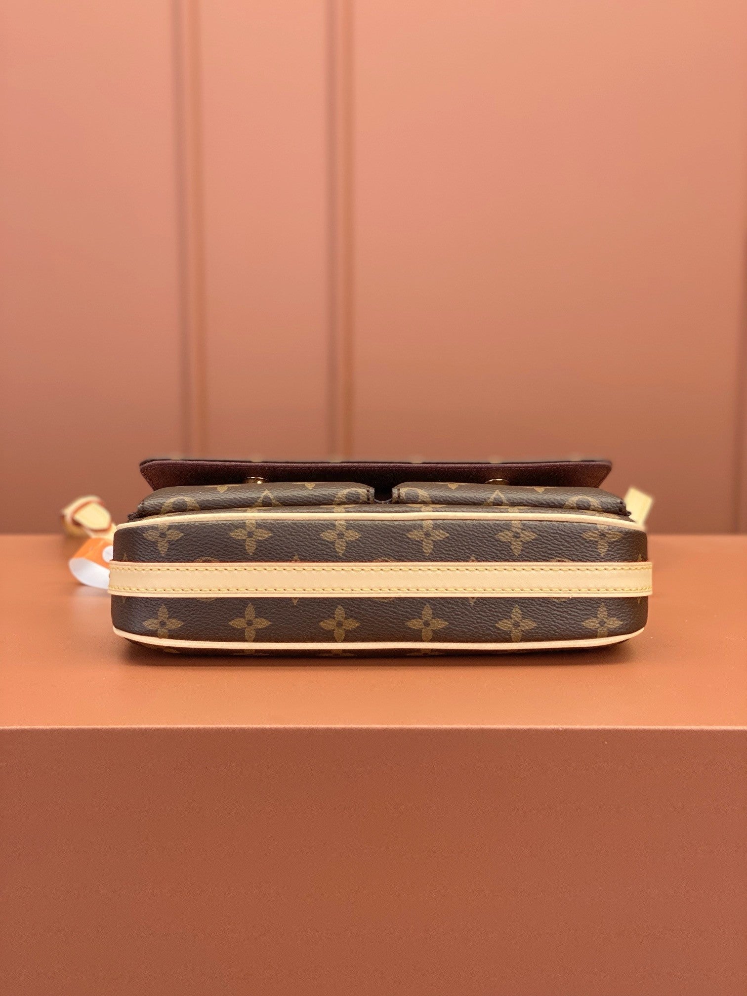 Louis Vuitton women's bags 111