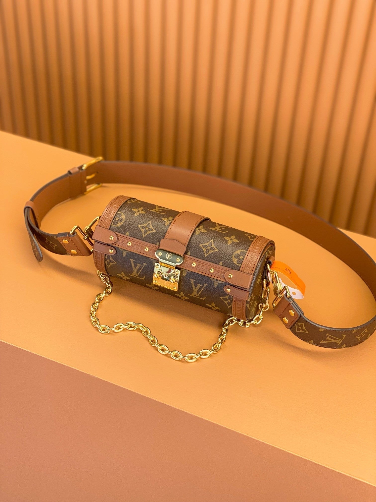 Louis Vuitton women's bags 113