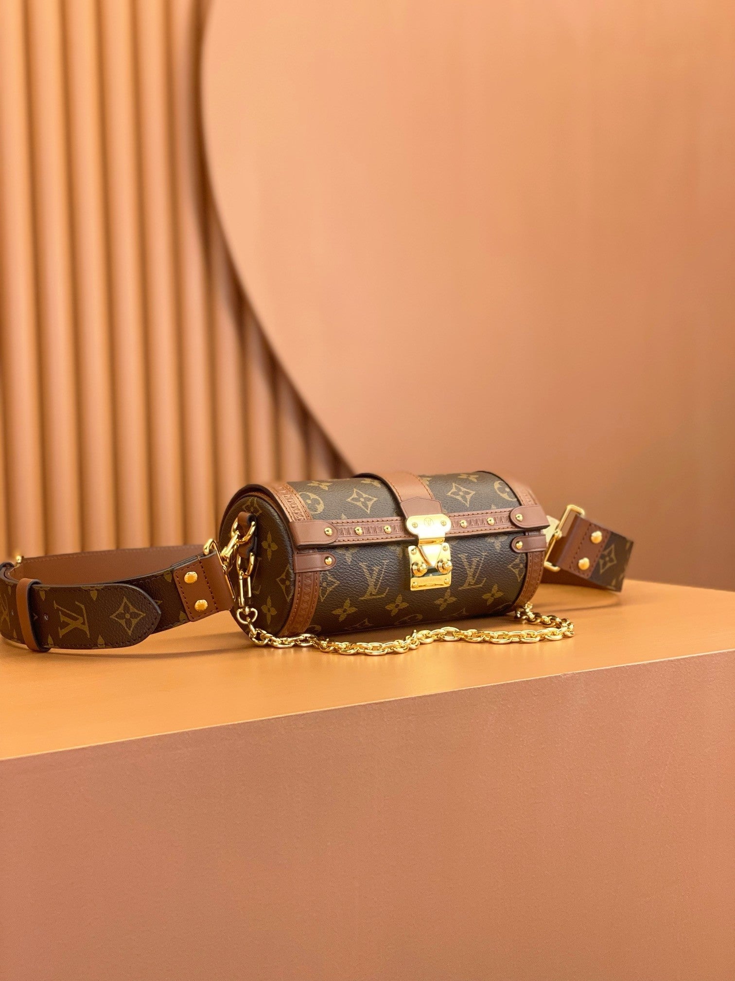 Louis Vuitton women's bags 113