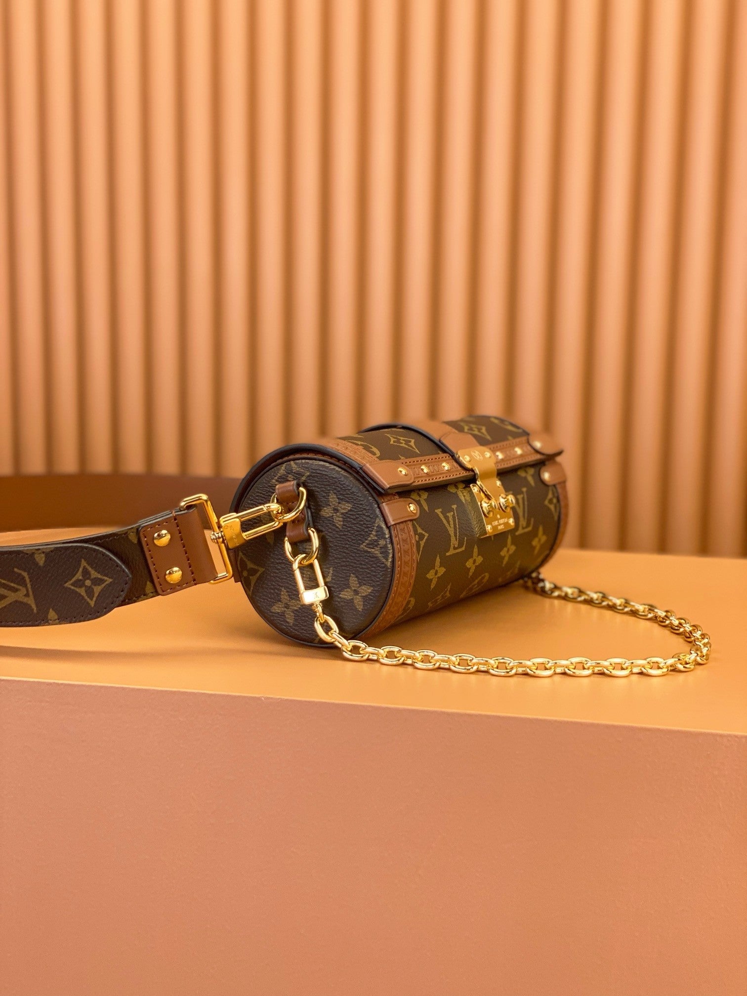 Louis Vuitton women's bags 113