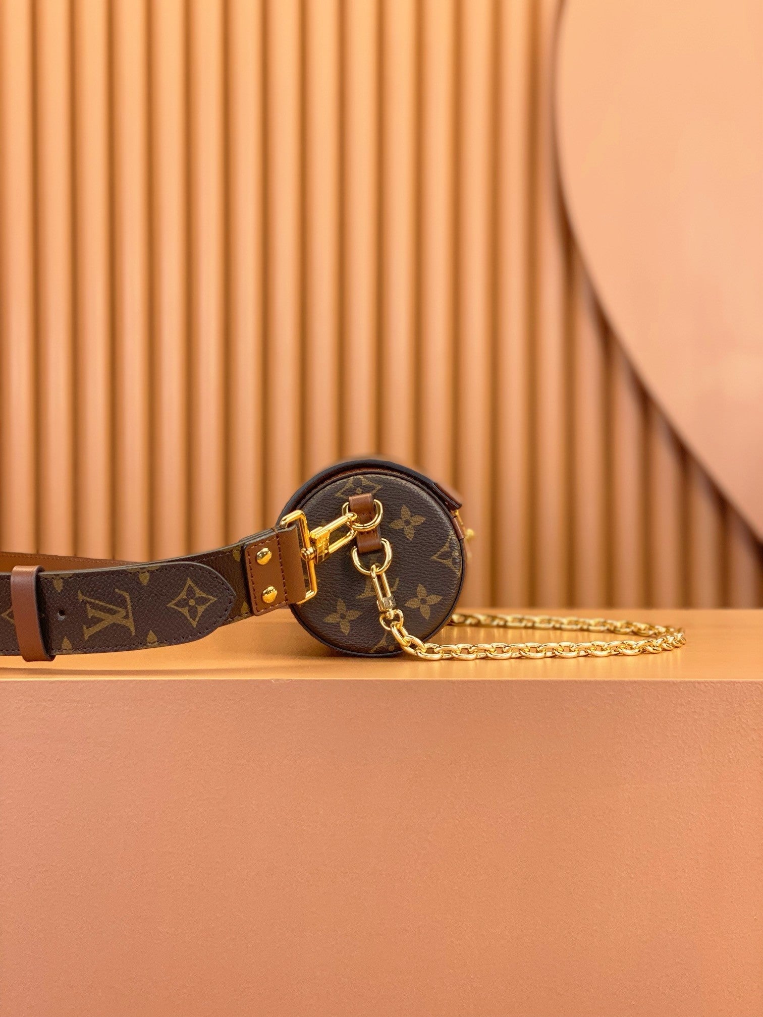 Louis Vuitton women's bags 113