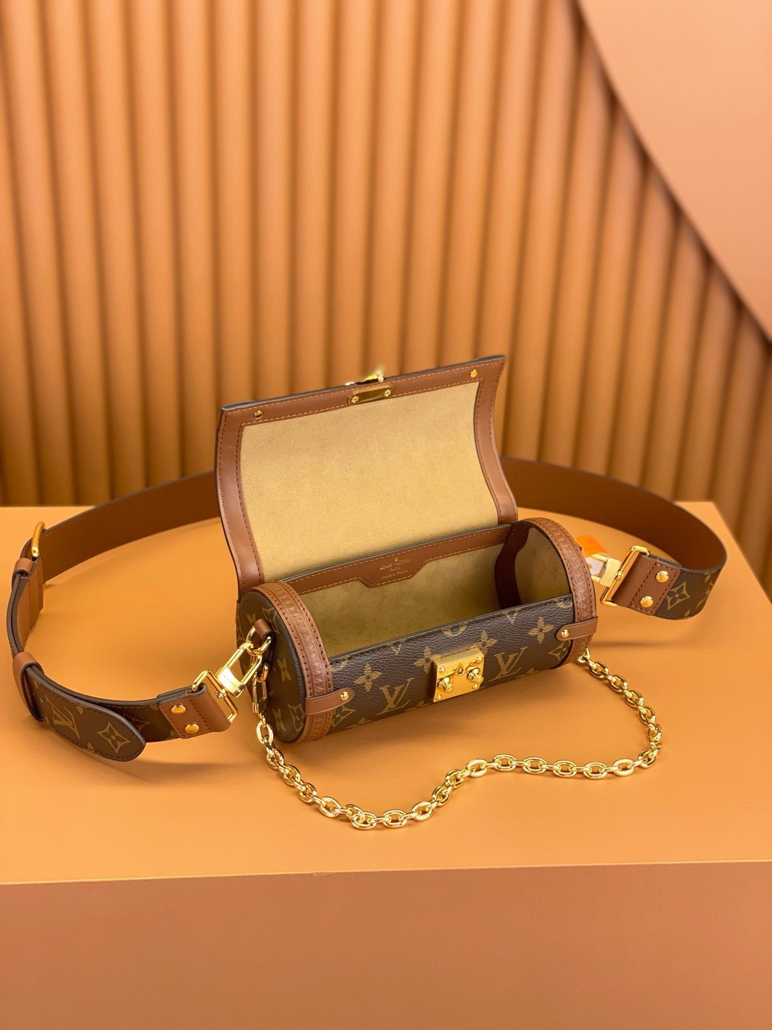 Louis Vuitton women's bags 113