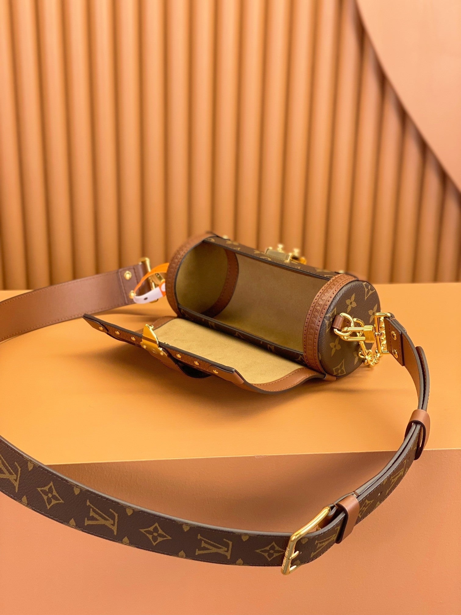 Louis Vuitton women's bags 113