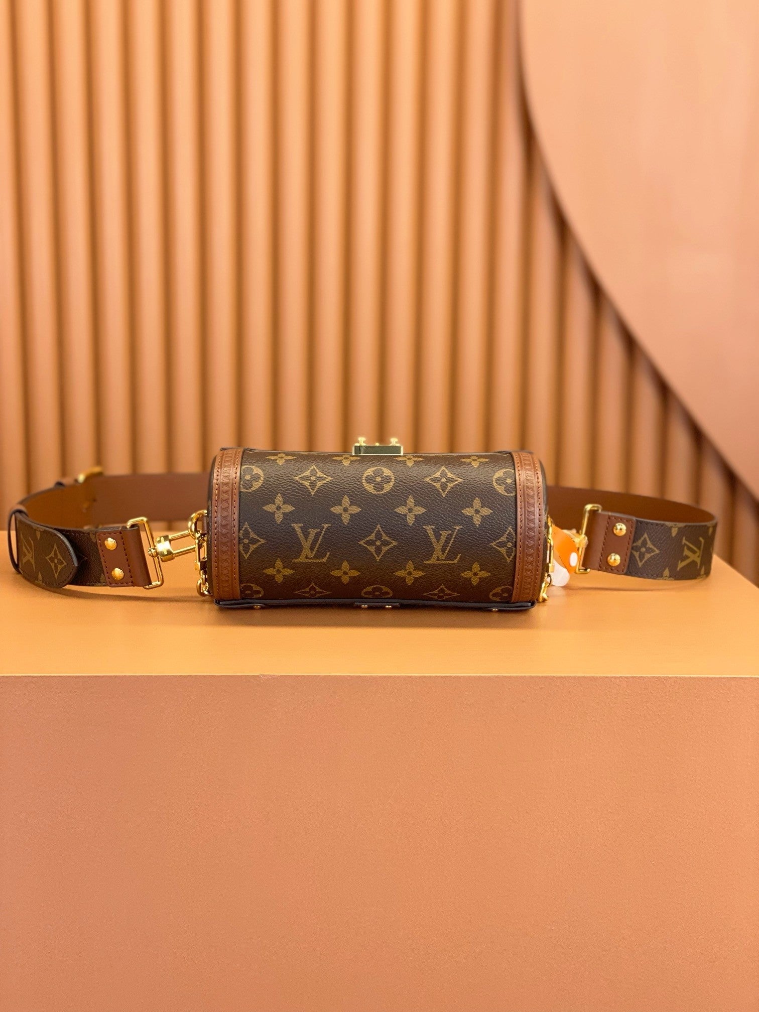 Louis Vuitton women's bags 113