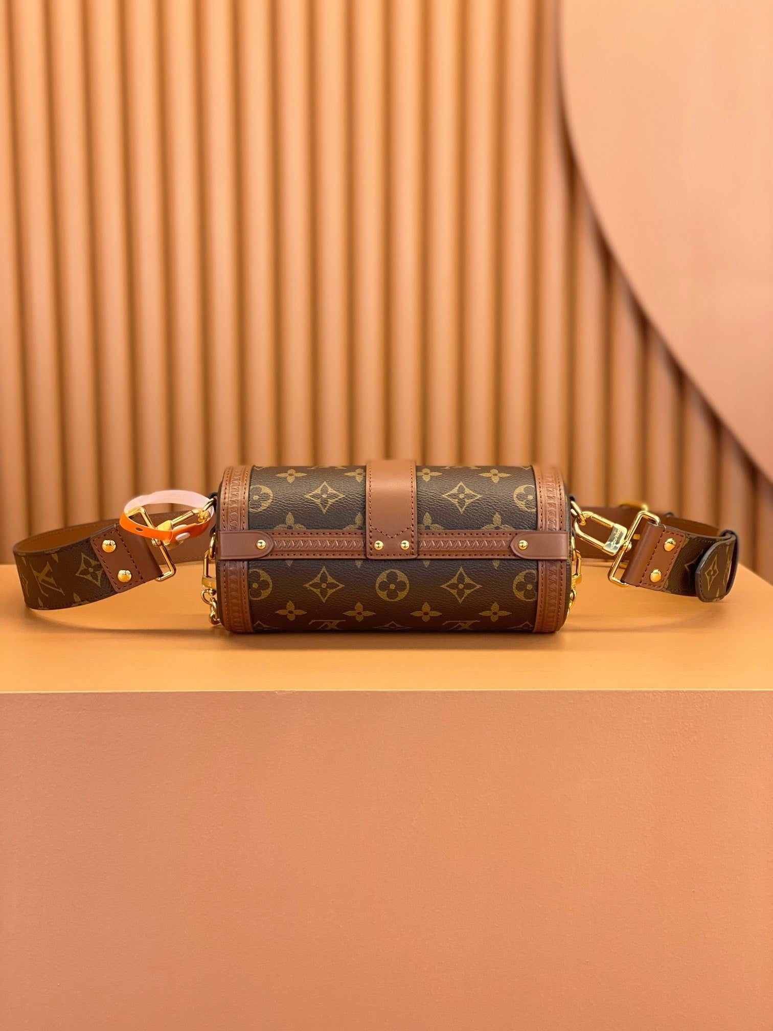 Louis Vuitton women's bags 113