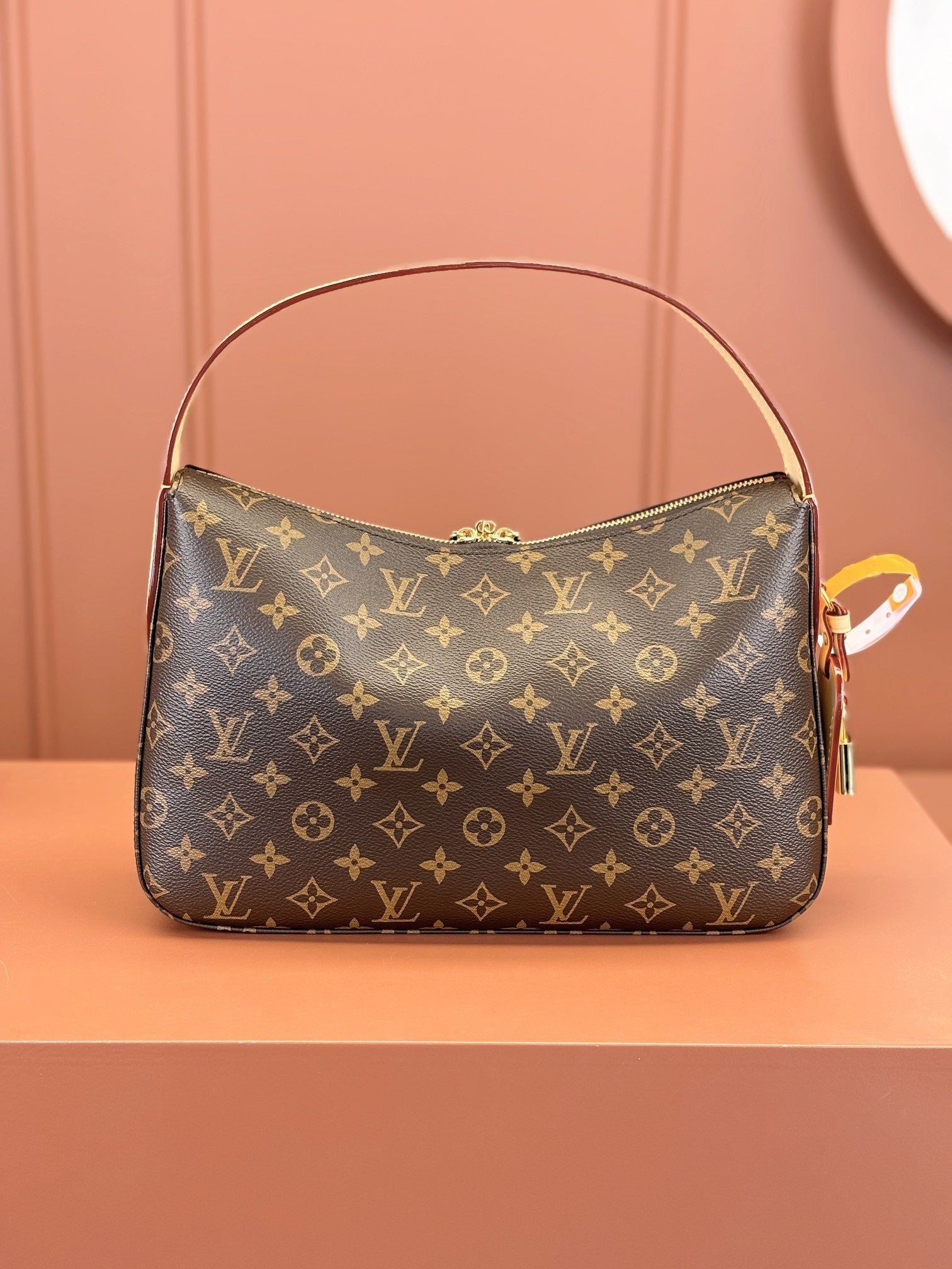 Louis Vuitton women's bags 119