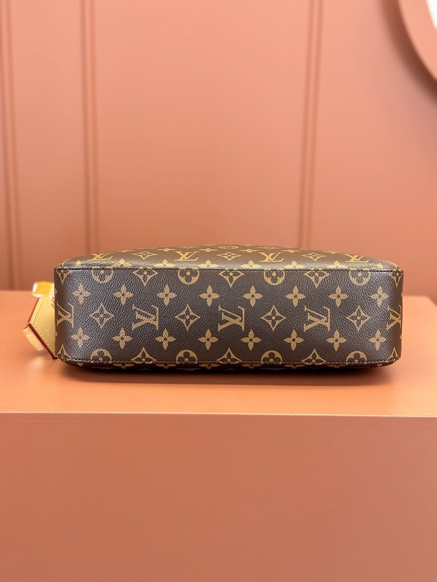 Louis Vuitton women's bags 119
