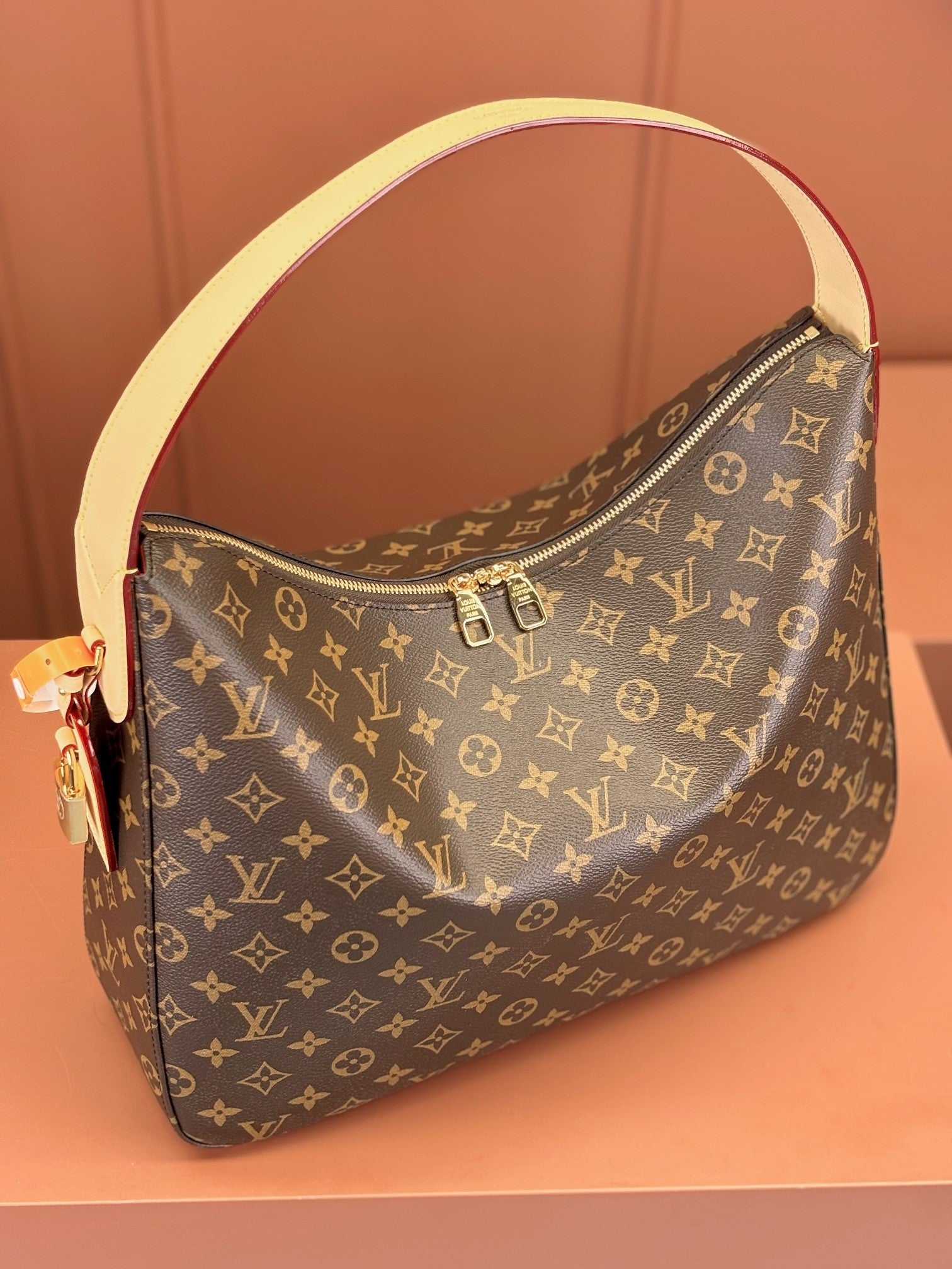 Louis Vuitton women's bags 121