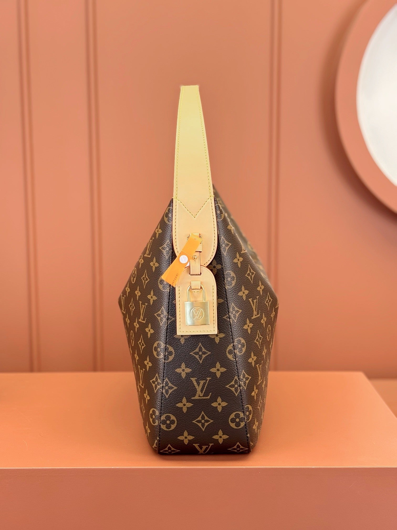 Louis Vuitton women's bags 121