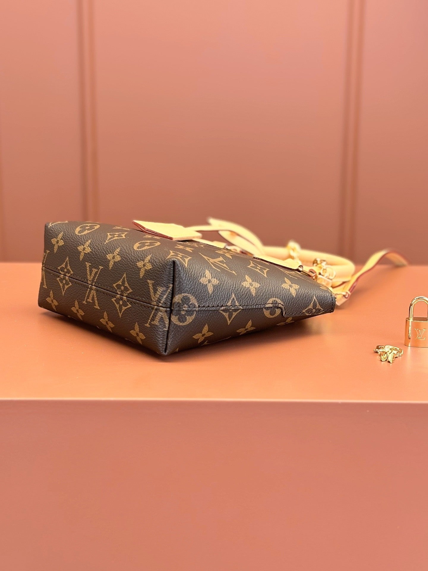 Louis Vuitton women's bags 122