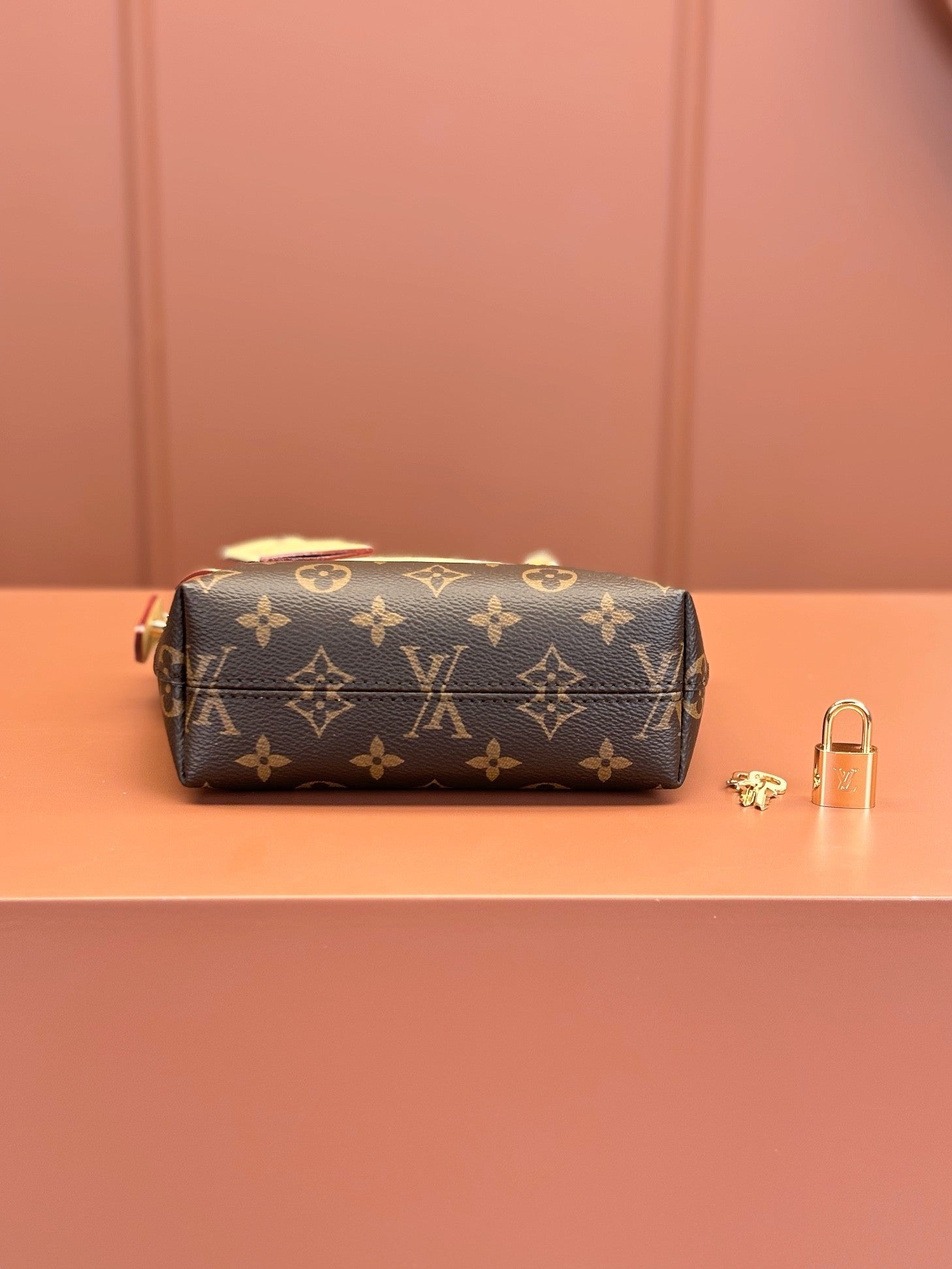 Louis Vuitton women's bags 122