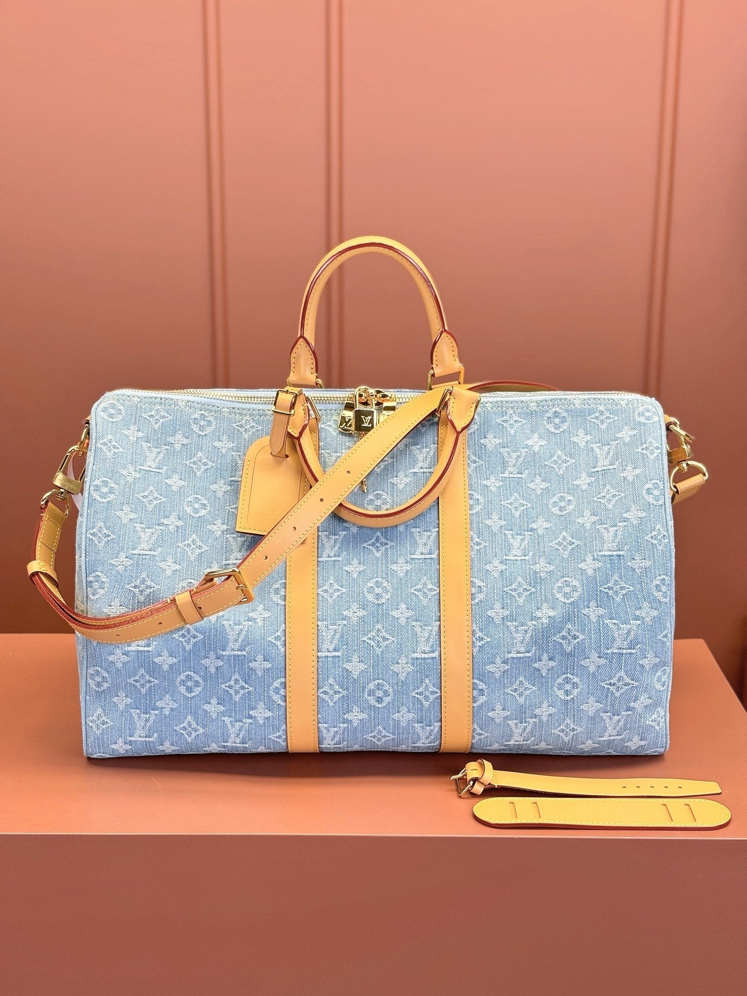 Louis Vuitton women's bags 123