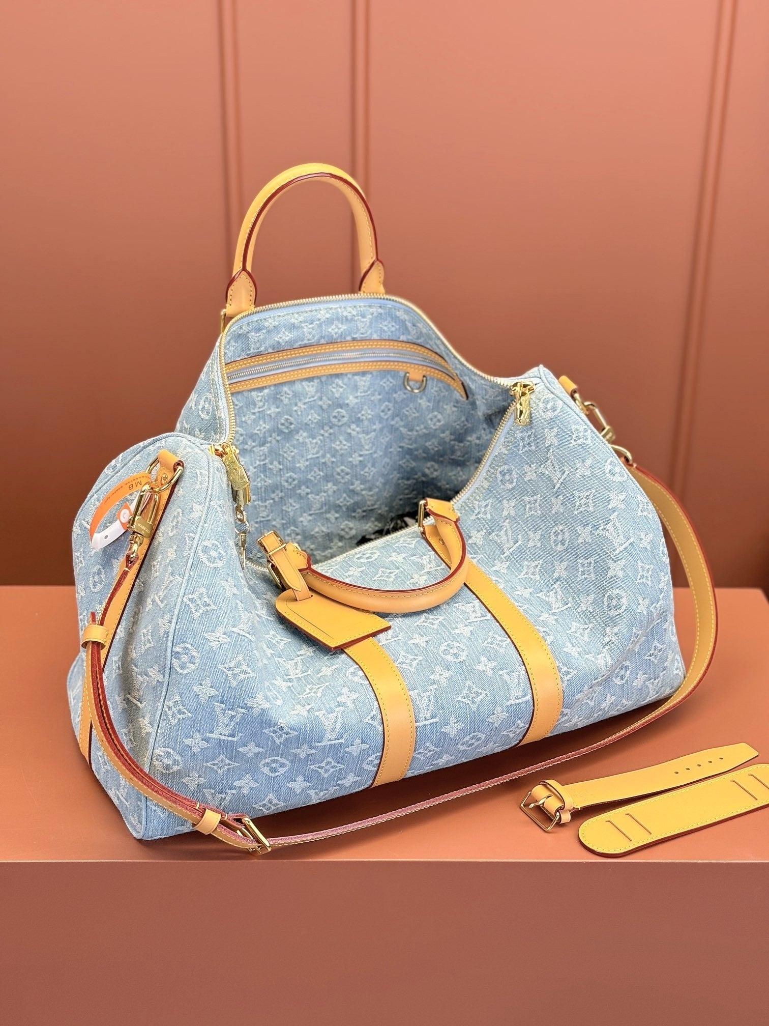 Louis Vuitton women's bags 123