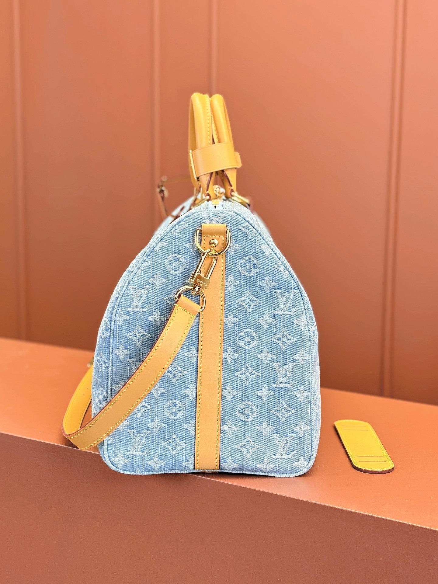 Louis Vuitton women's bags 123