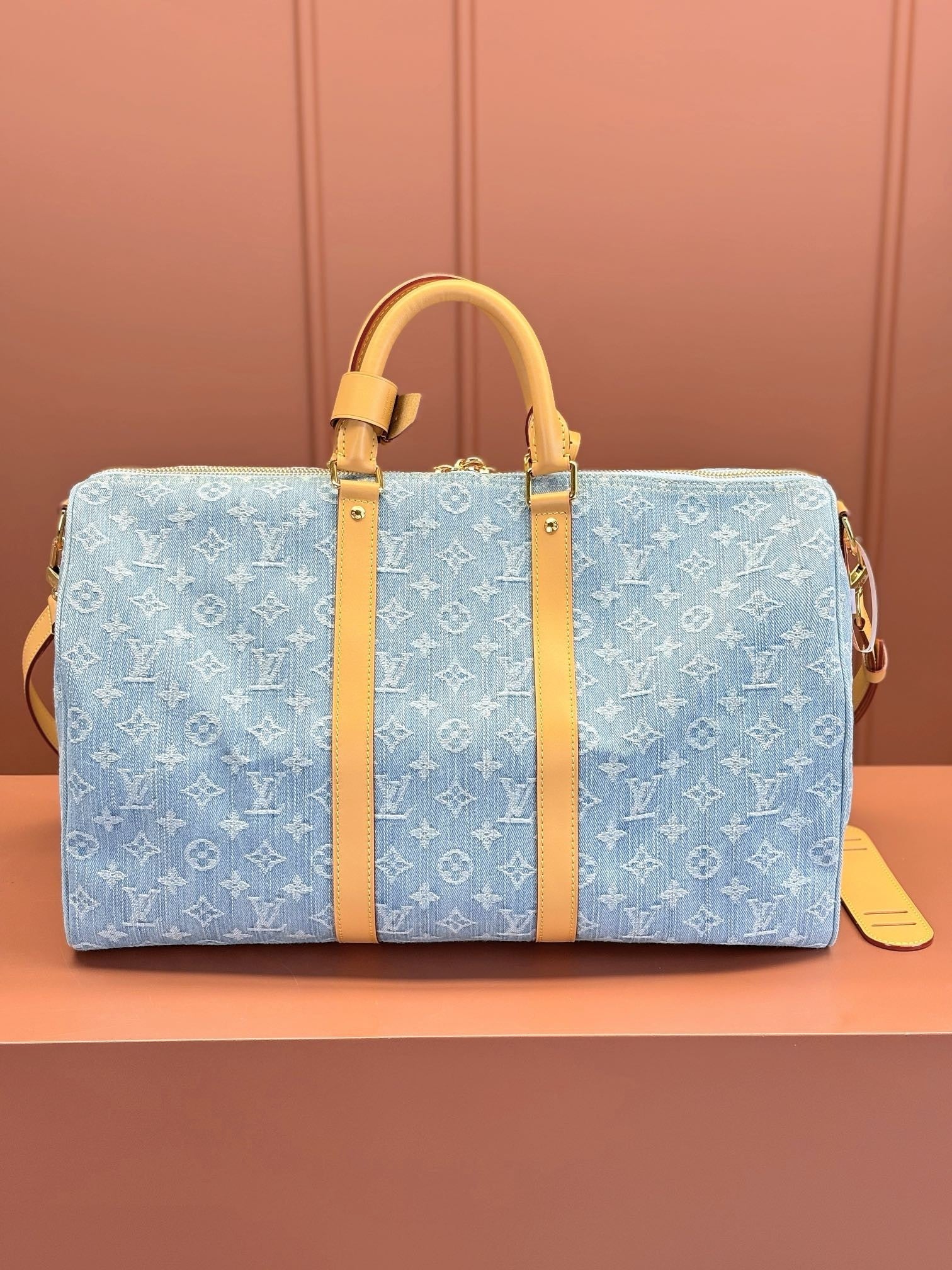 Louis Vuitton women's bags 123