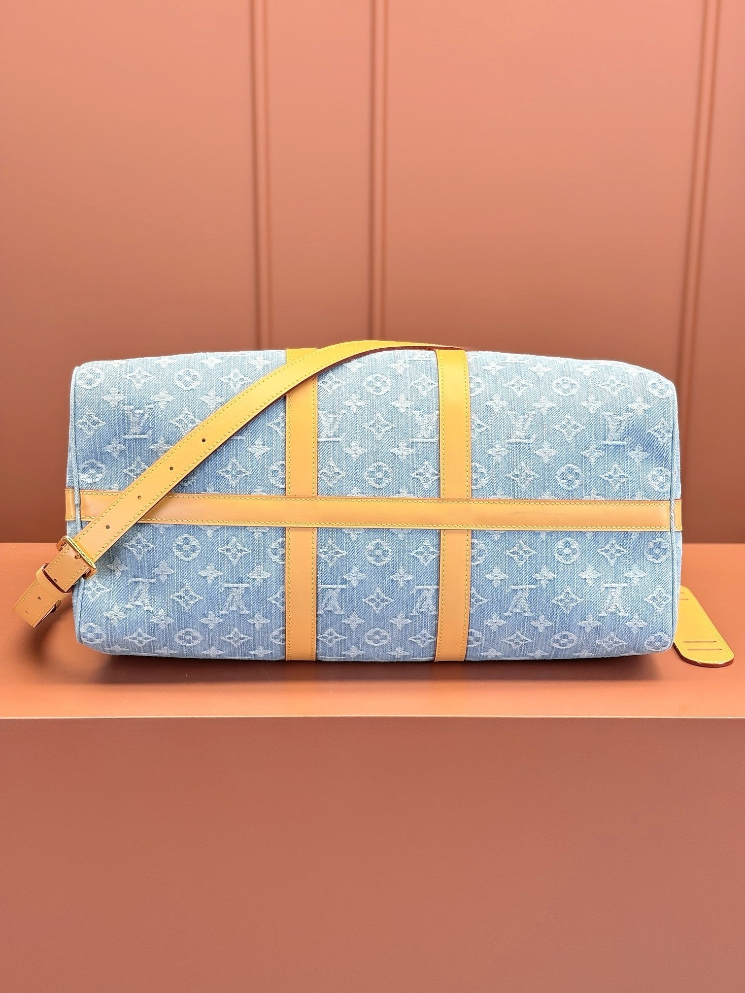 Louis Vuitton women's bags 123