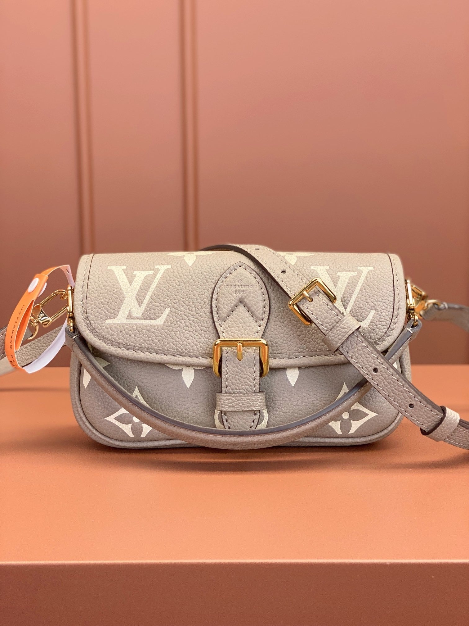 Louis Vuitton women's bags 124