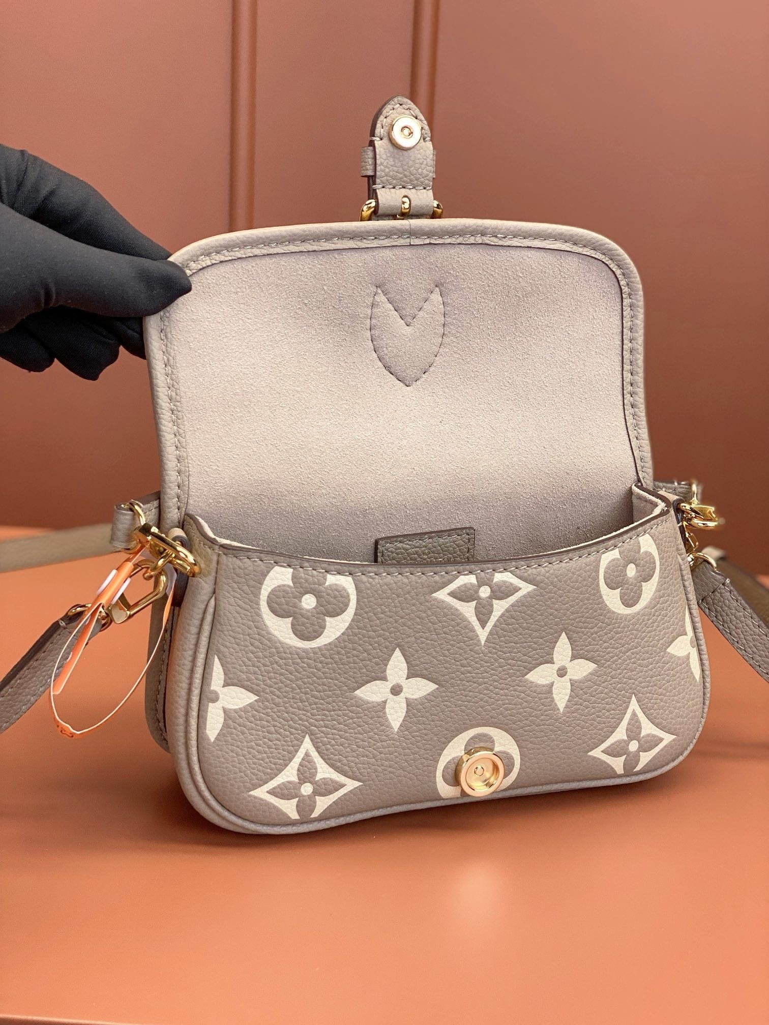 Louis Vuitton women's bags 124