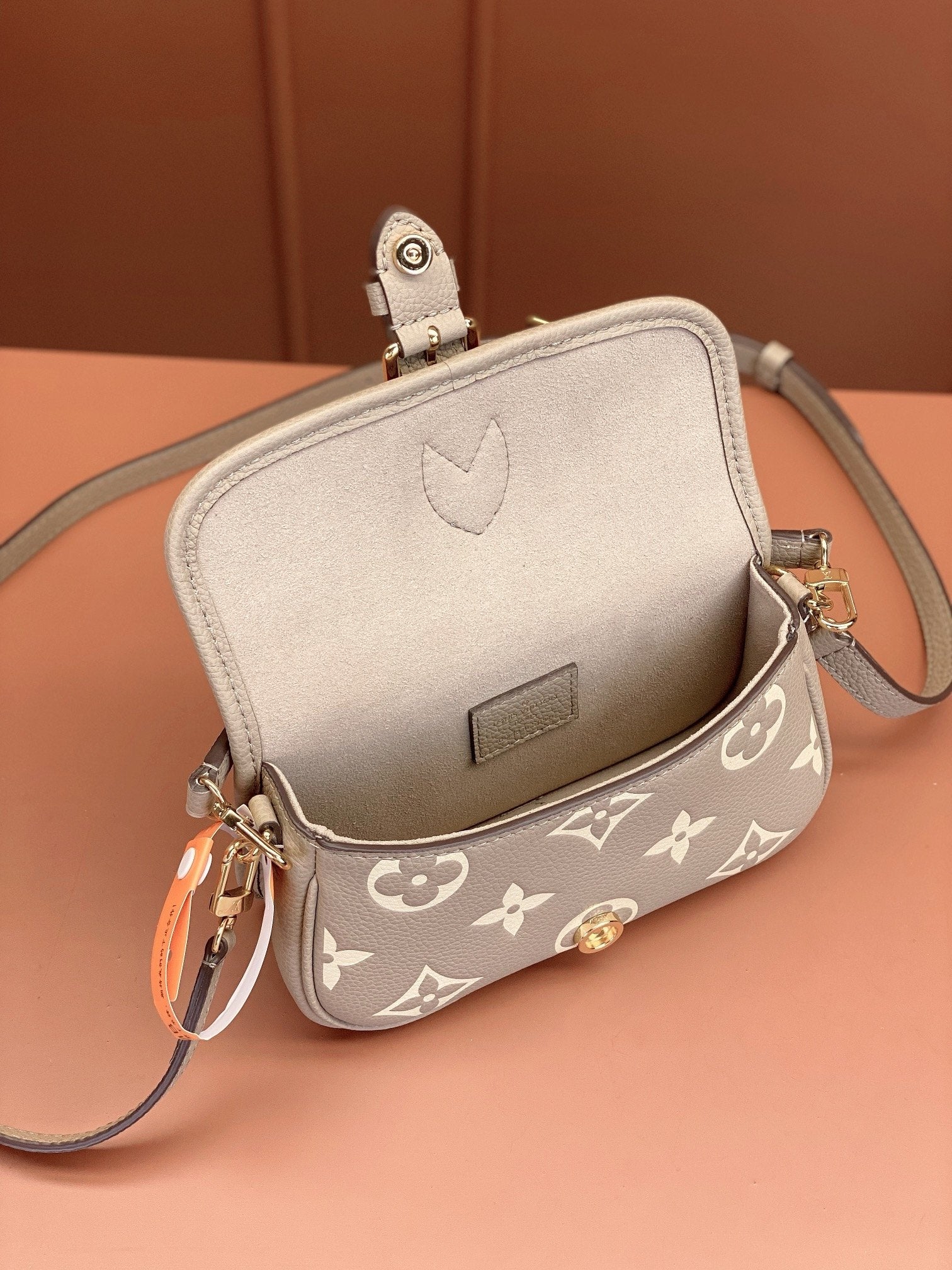 Louis Vuitton women's bags 124