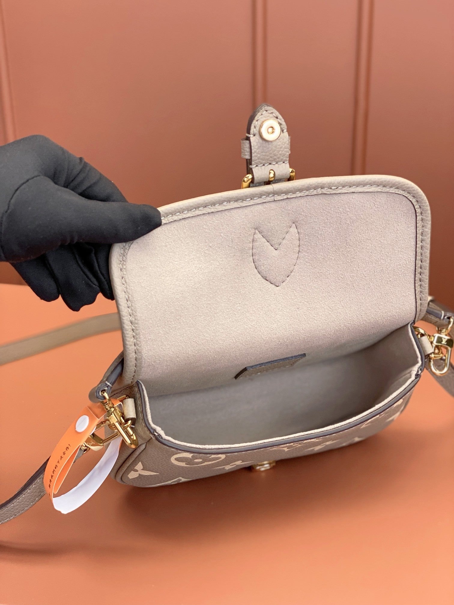 Louis Vuitton women's bags 124