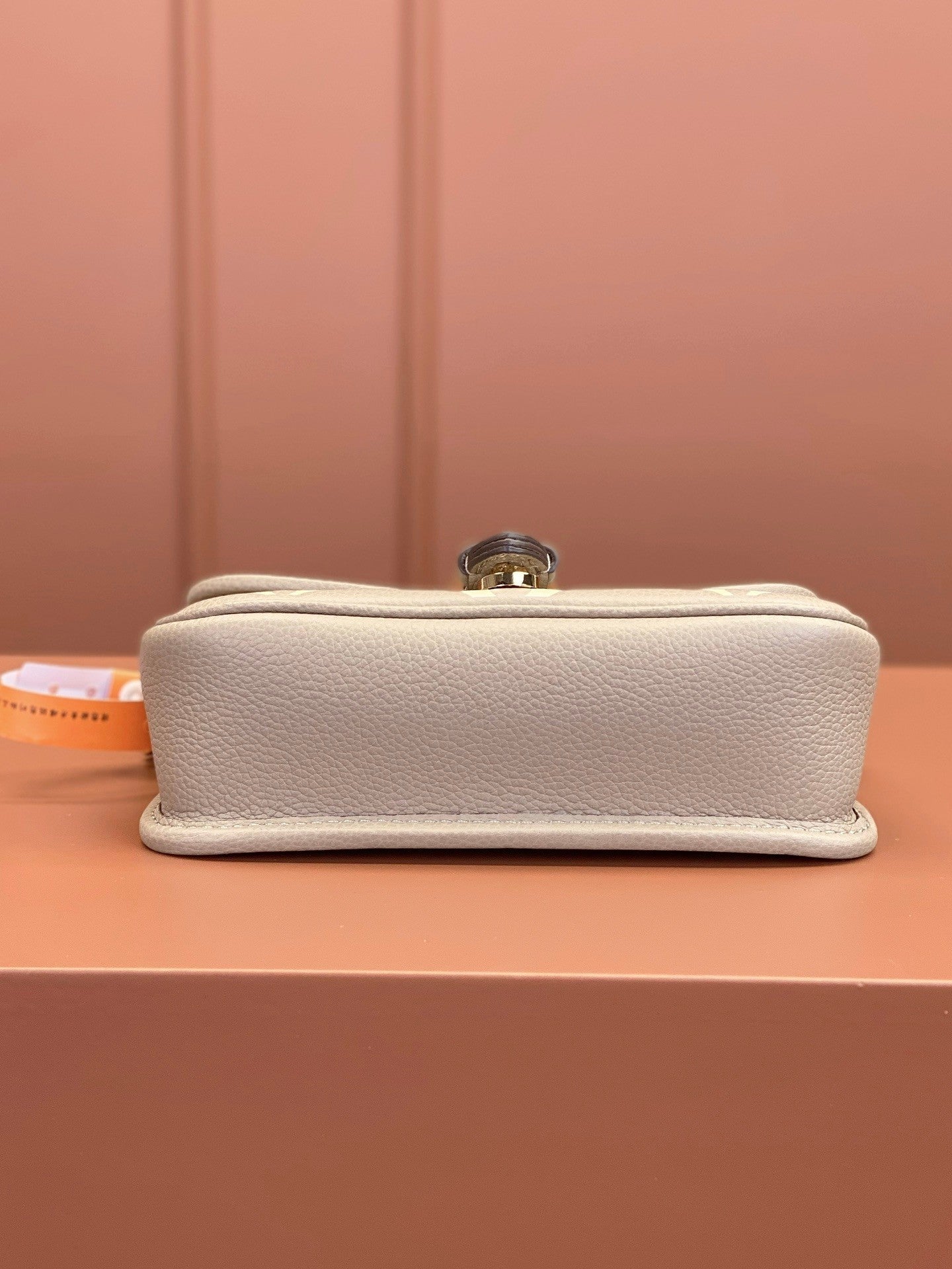 Louis Vuitton women's bags 124