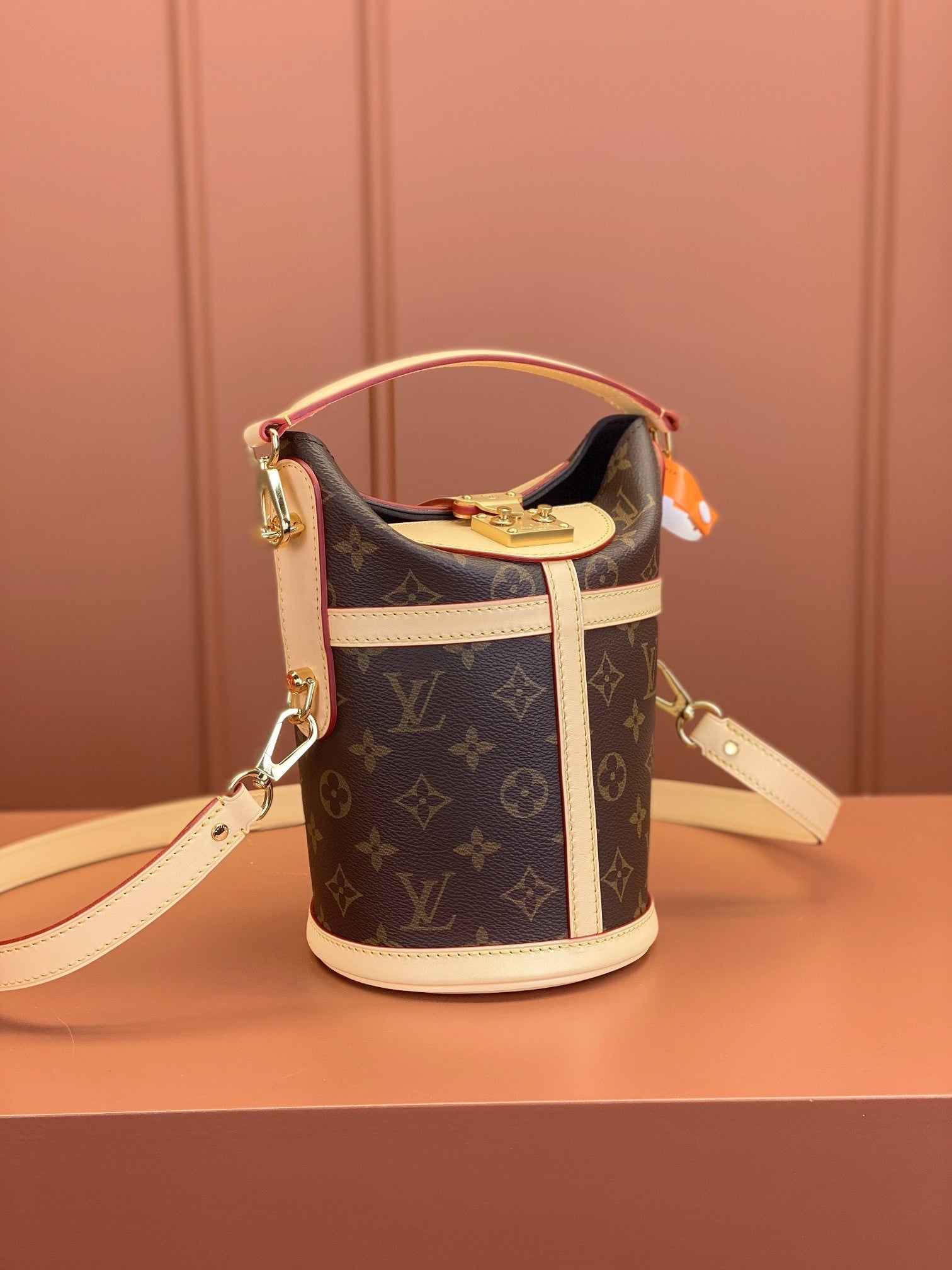 Louis Vuitton women's bags 126