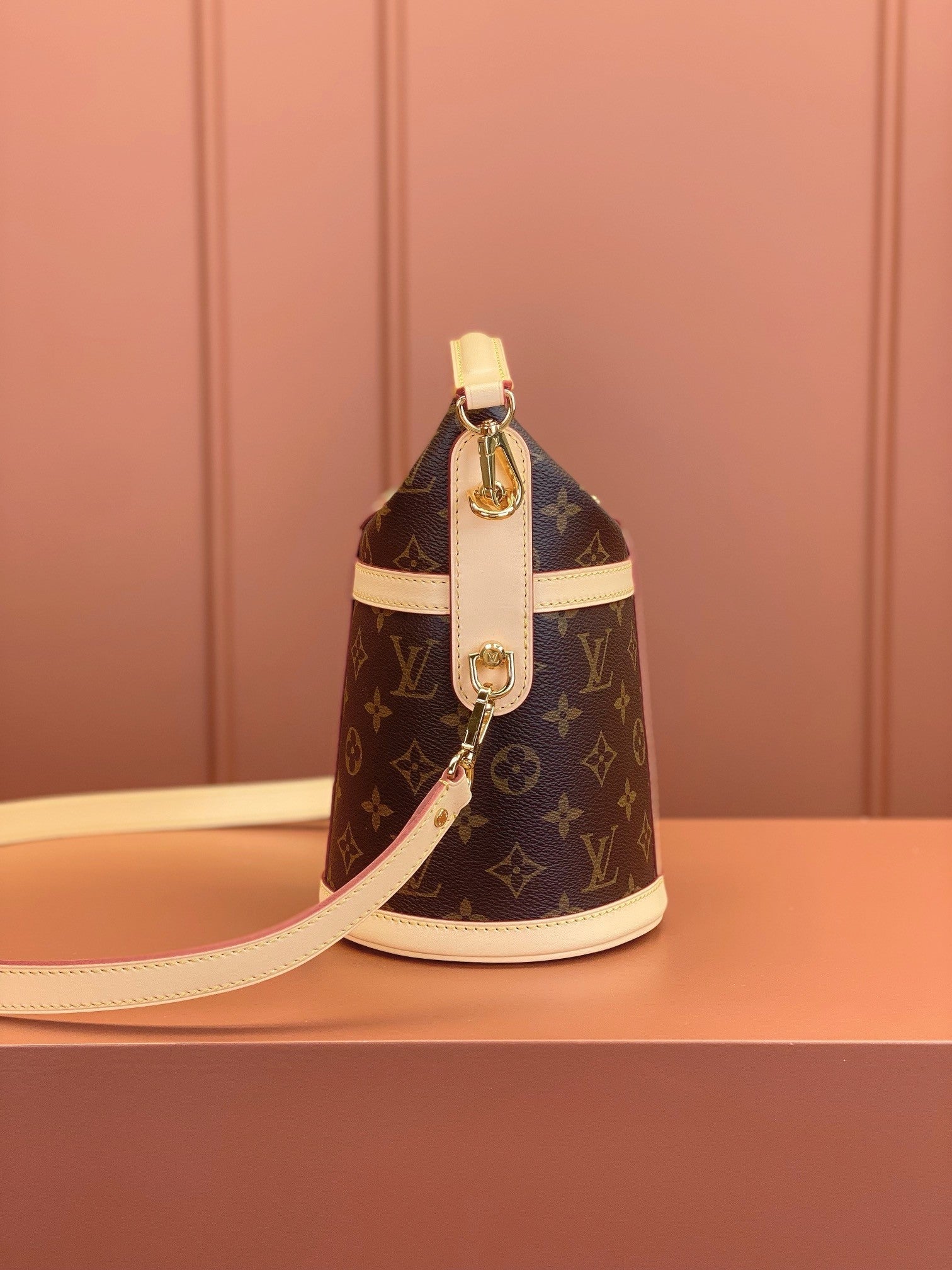 Louis Vuitton women's bags 126