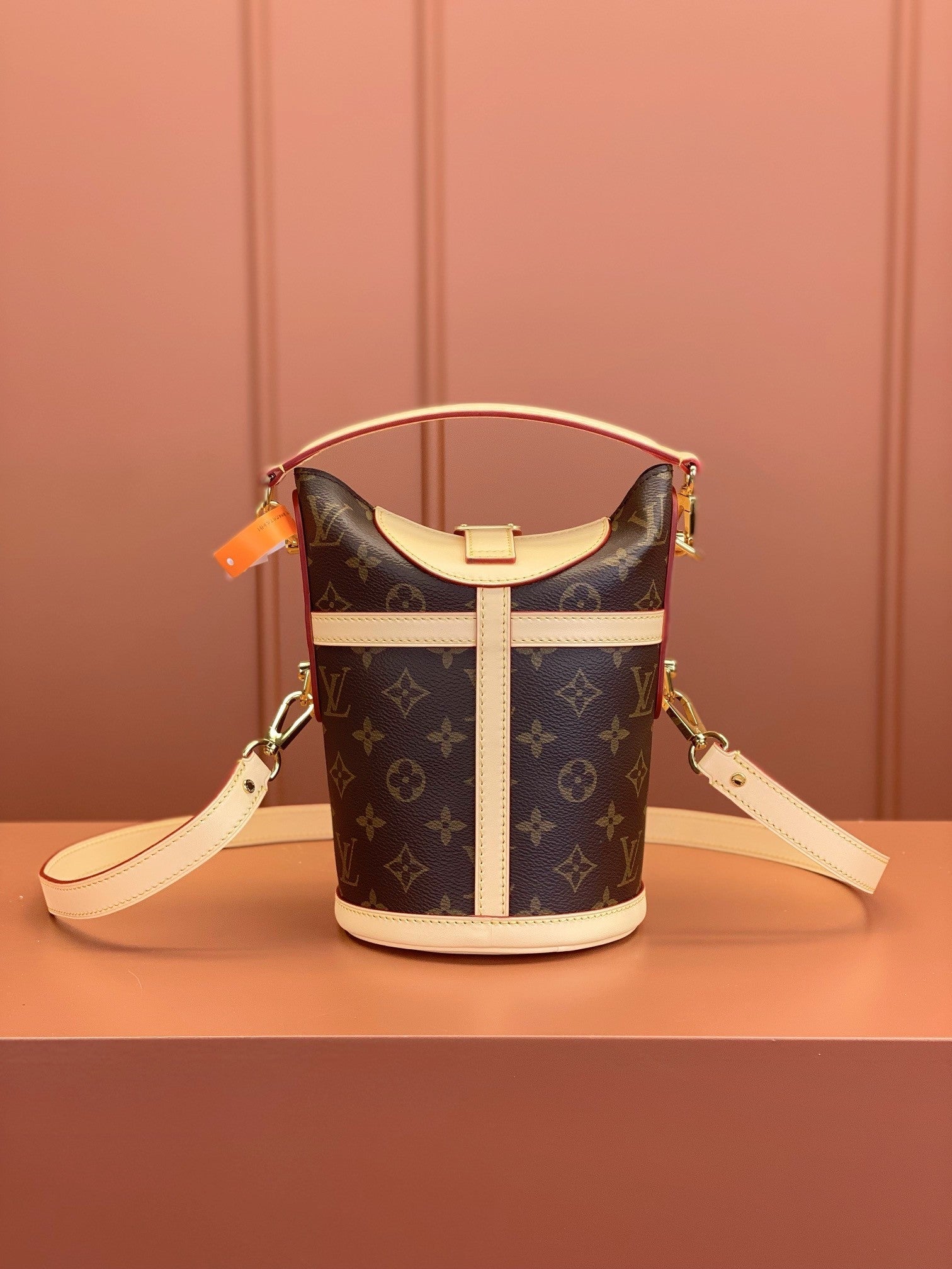 Louis Vuitton women's bags 126