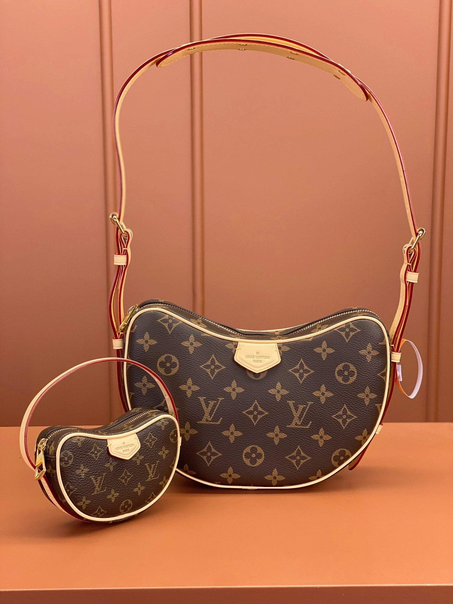 Louis Vuitton women's bags 127