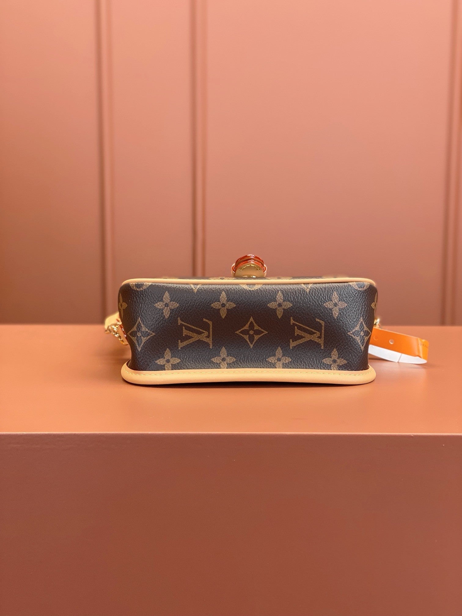 Louis Vuitton women's bags 129