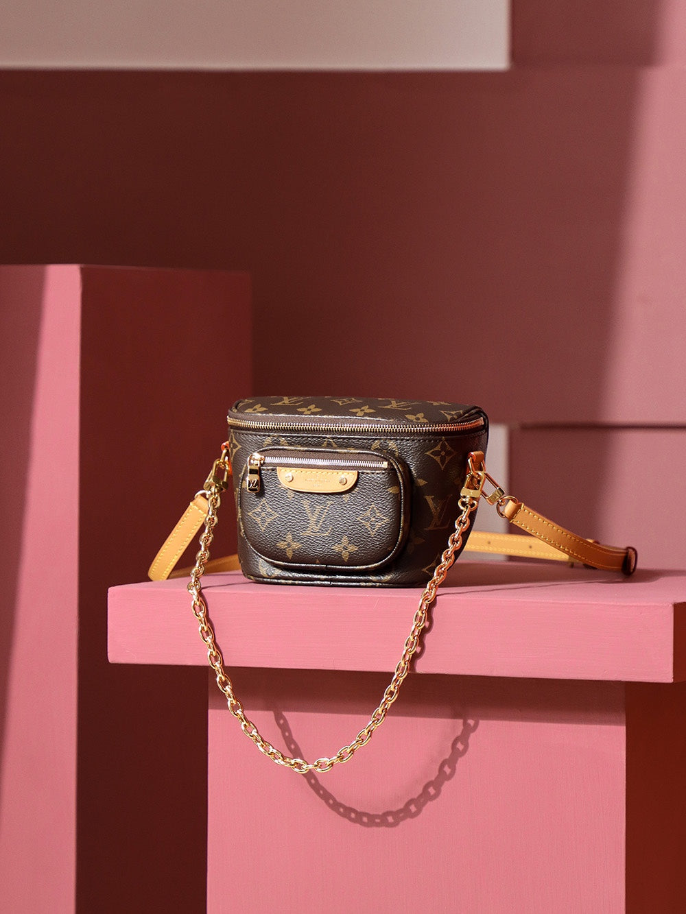 Louis Vuitton women's bags 145
