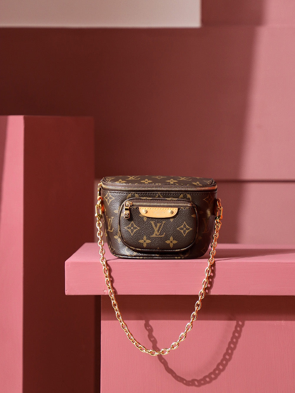 Louis Vuitton women's bags 145