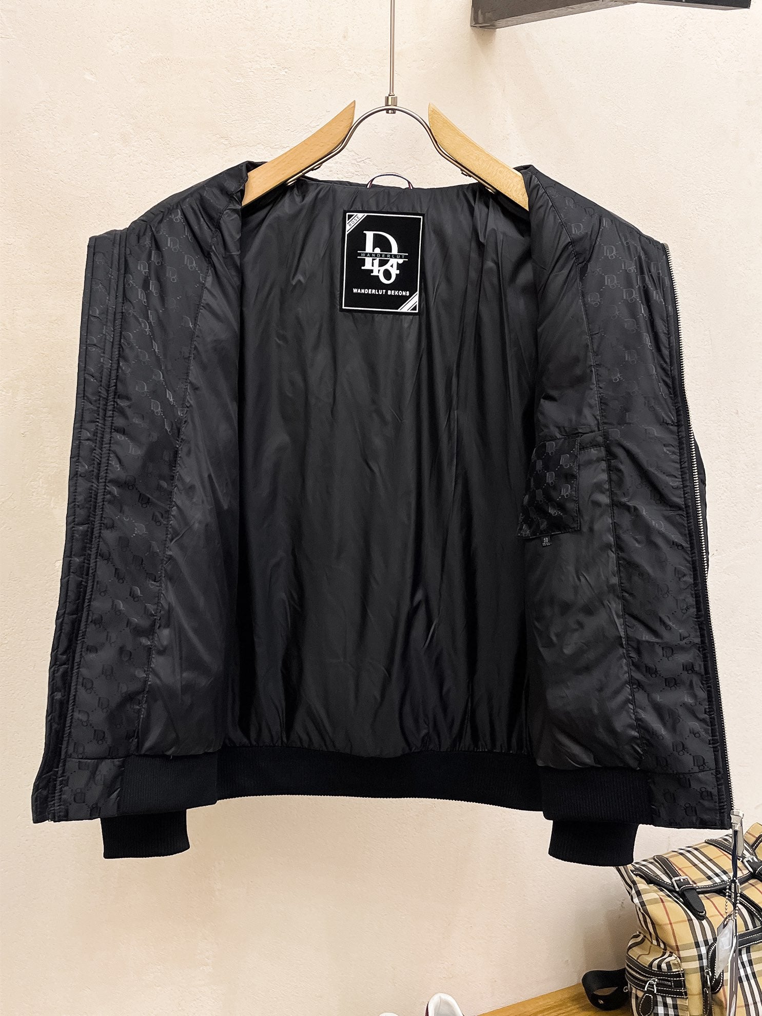 DIOR 2024 Fall/Winter Premium Down Jacket | 90% White Goose Down | Unisex | Sizes M–3XL