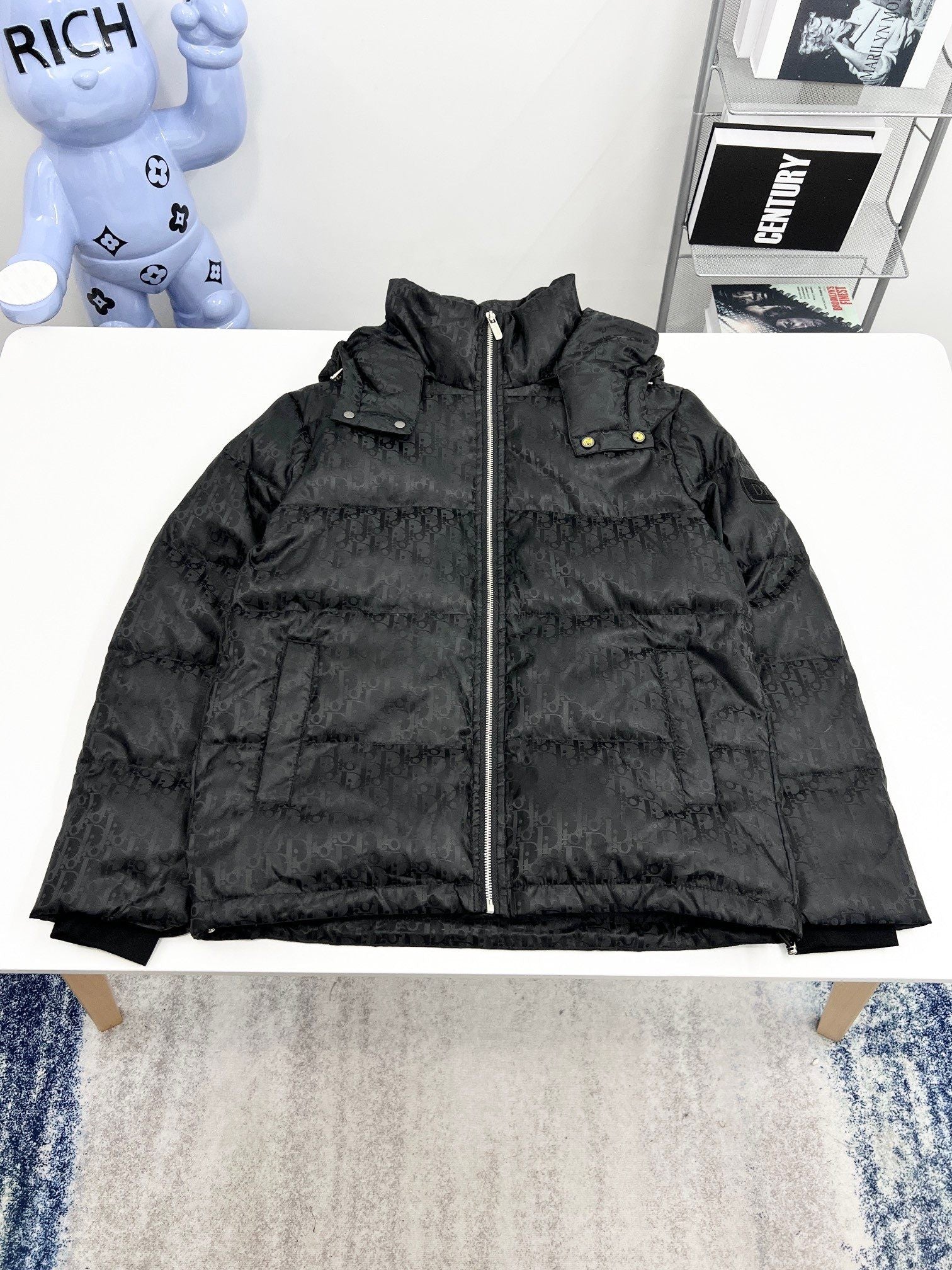 DIOR 2024 Fall/Winter Premium Down Jacket | 90% White Goose Down | Unisex | Sizes M–3XL