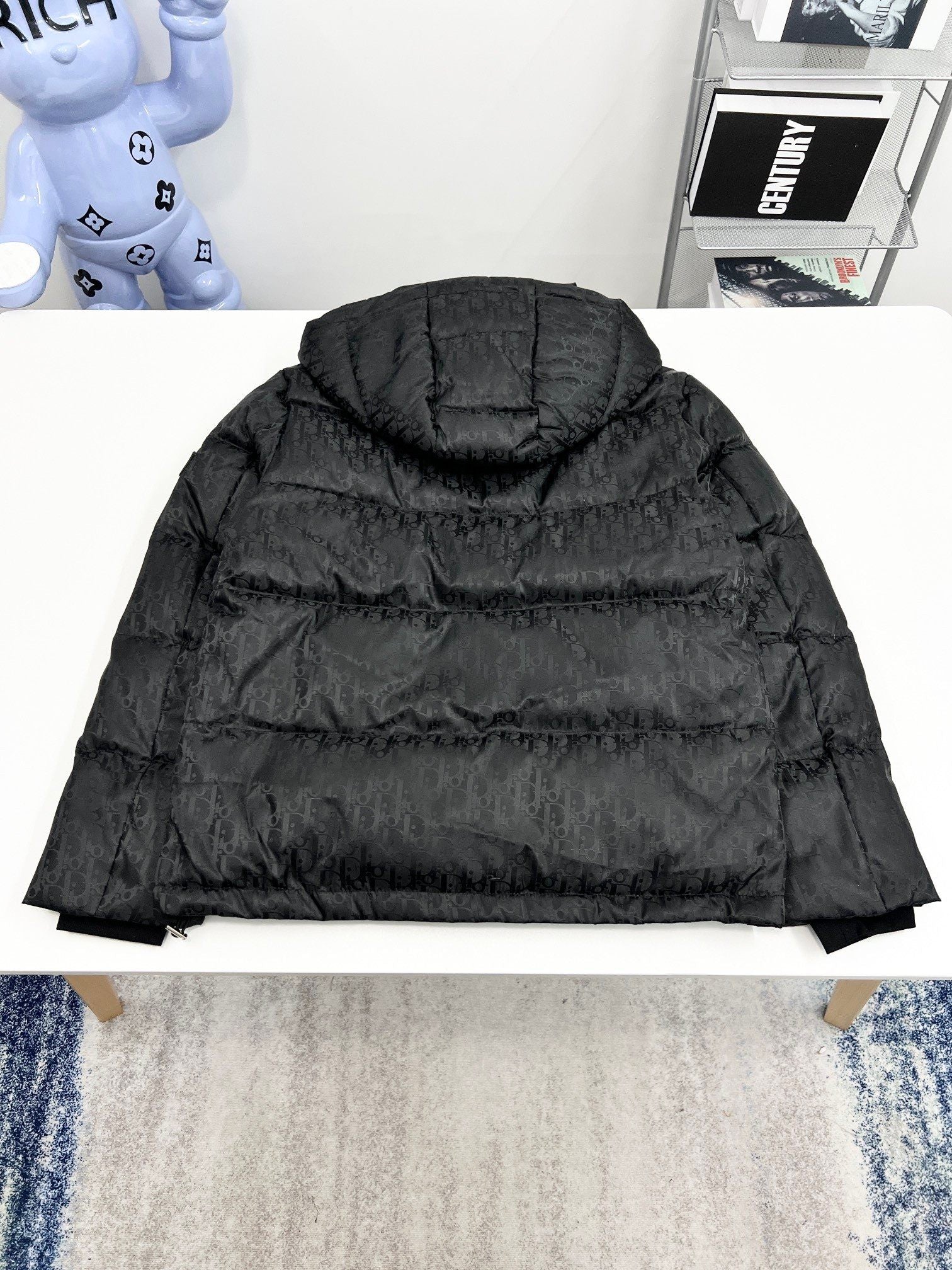 DIOR 2024 Fall/Winter Premium Down Jacket | 90% White Goose Down | Unisex | Sizes M–3XL