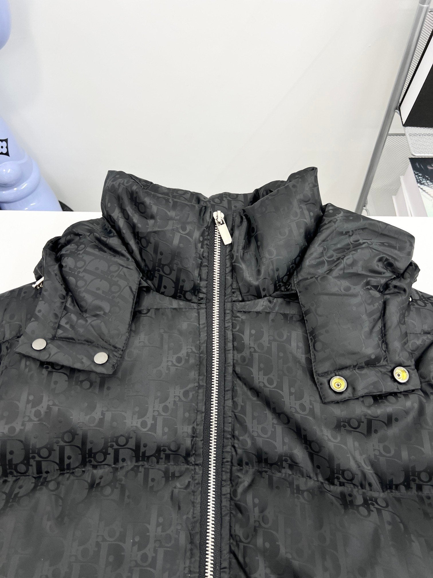 DIOR 2024 Fall/Winter Premium Down Jacket | 90% White Goose Down | Unisex | Sizes M–3XL
