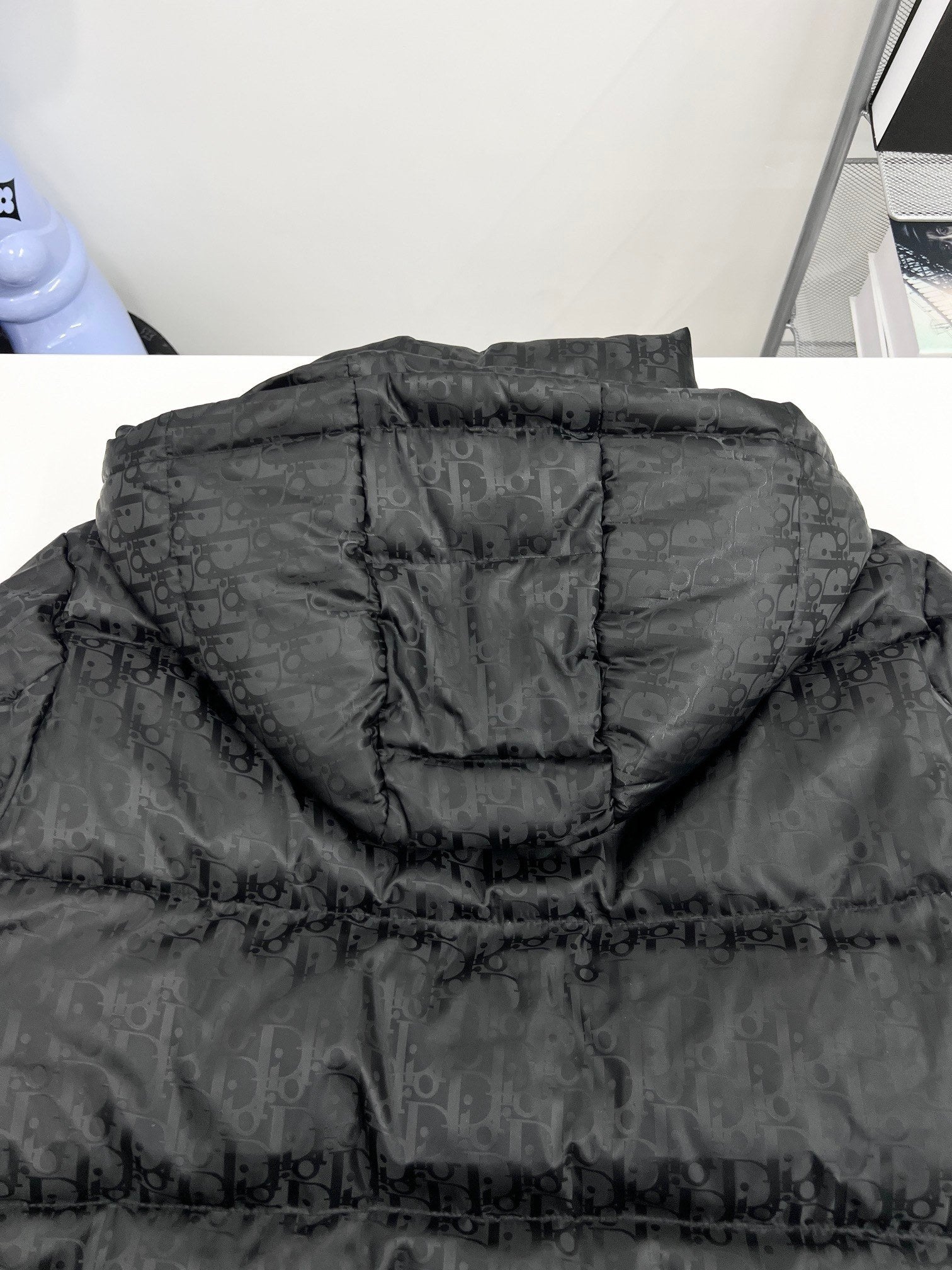 DIOR 2024 Fall/Winter Premium Down Jacket | 90% White Goose Down | Unisex | Sizes M–3XL