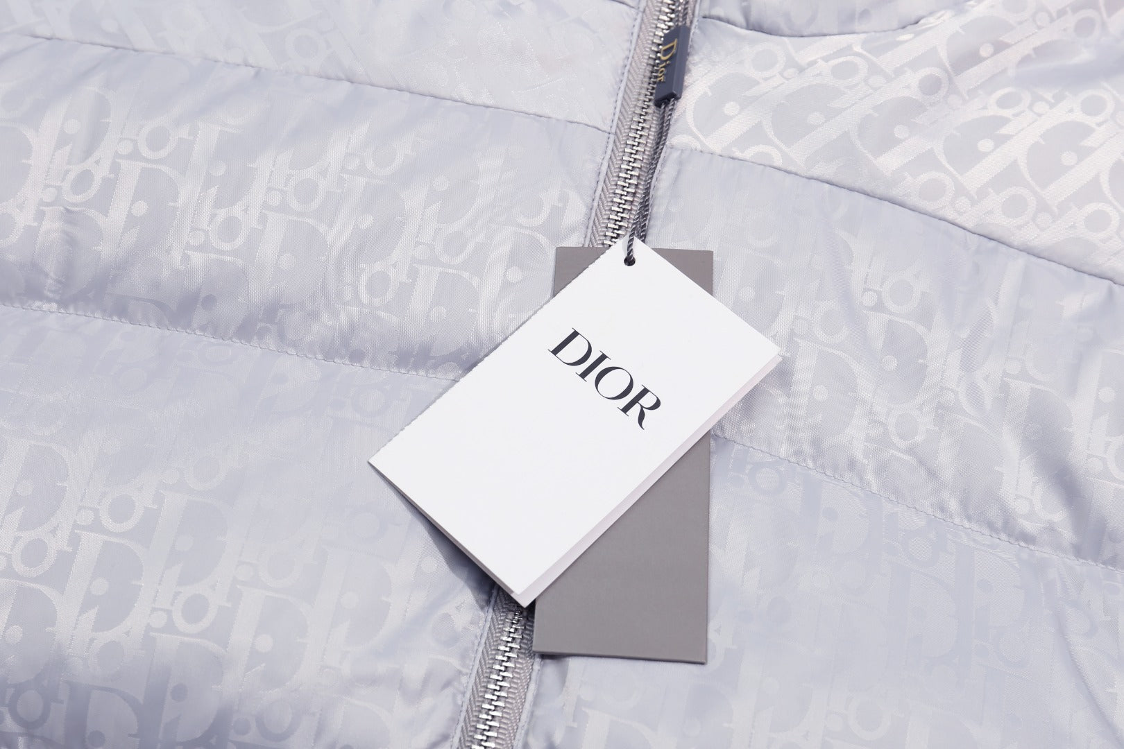 Dior Oblique Monogram High-Collar Down Jacket | Evergreen Classic | S–XL