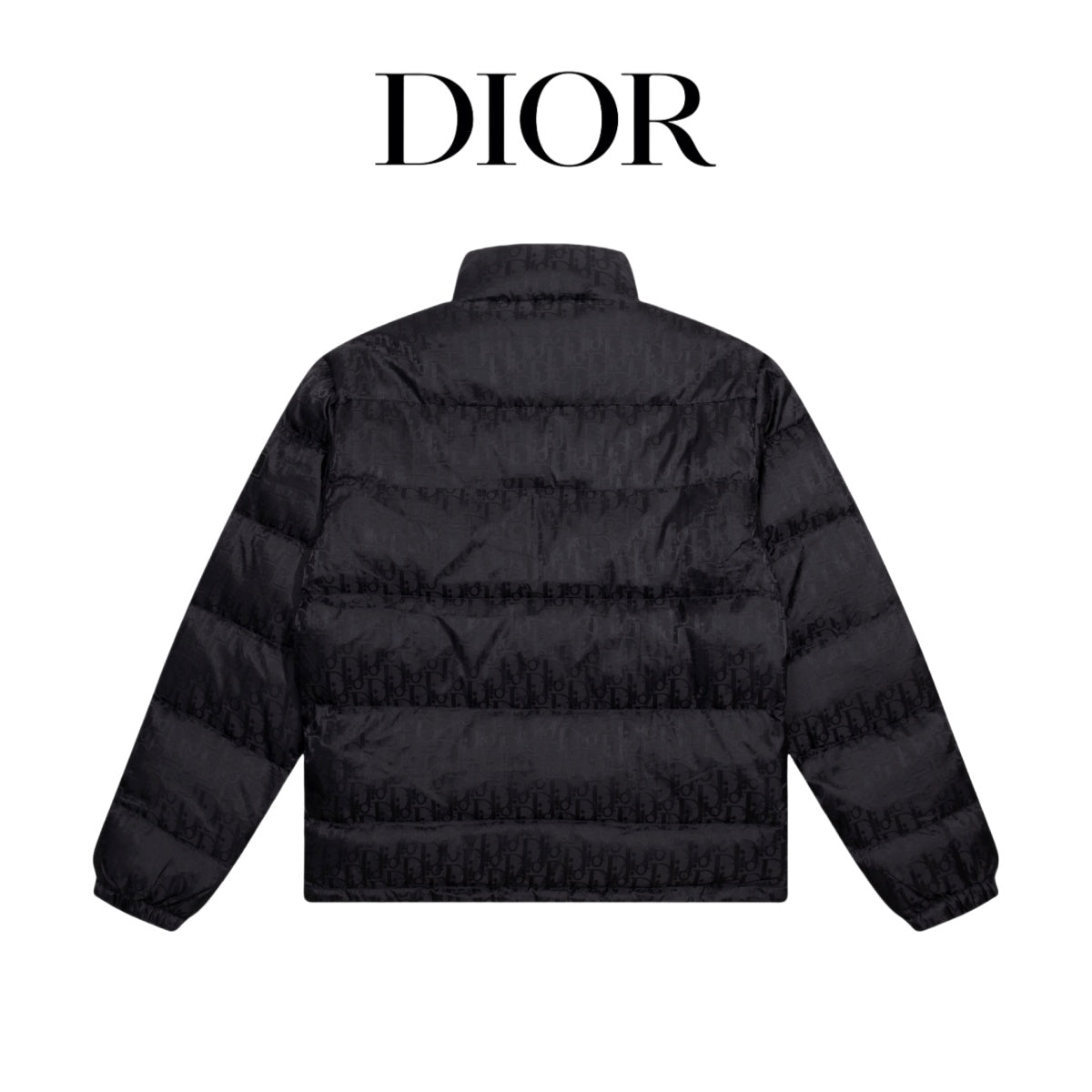 Dior Oblique Monogram High-Collar Down Jacket | Evergreen Classic | S–XL