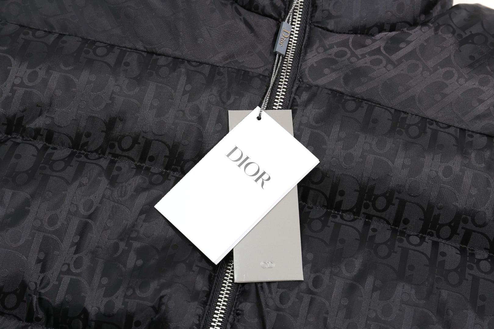 Dior Oblique Monogram High-Collar Down Jacket | Evergreen Classic | S–XL