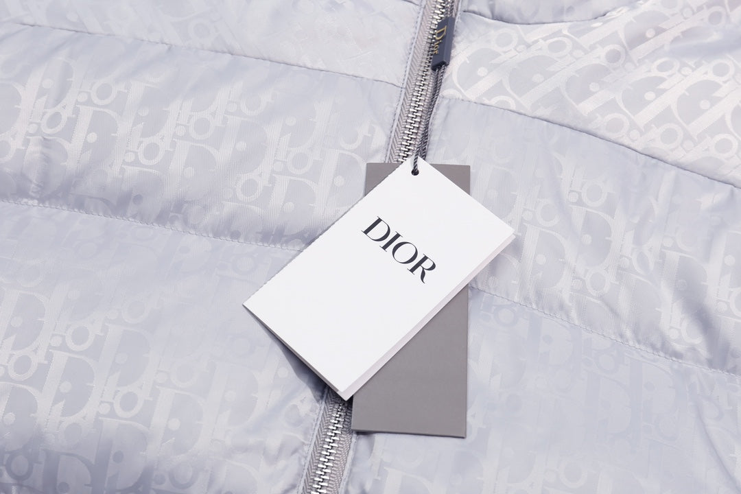 Dior CD 24FW Oblique Monogram Full-Print Down Jacket | S–XL